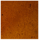 Processes 10 01521 i006