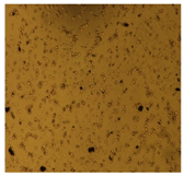 Processes 10 01521 i008