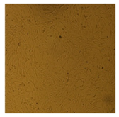 Processes 10 01521 i009