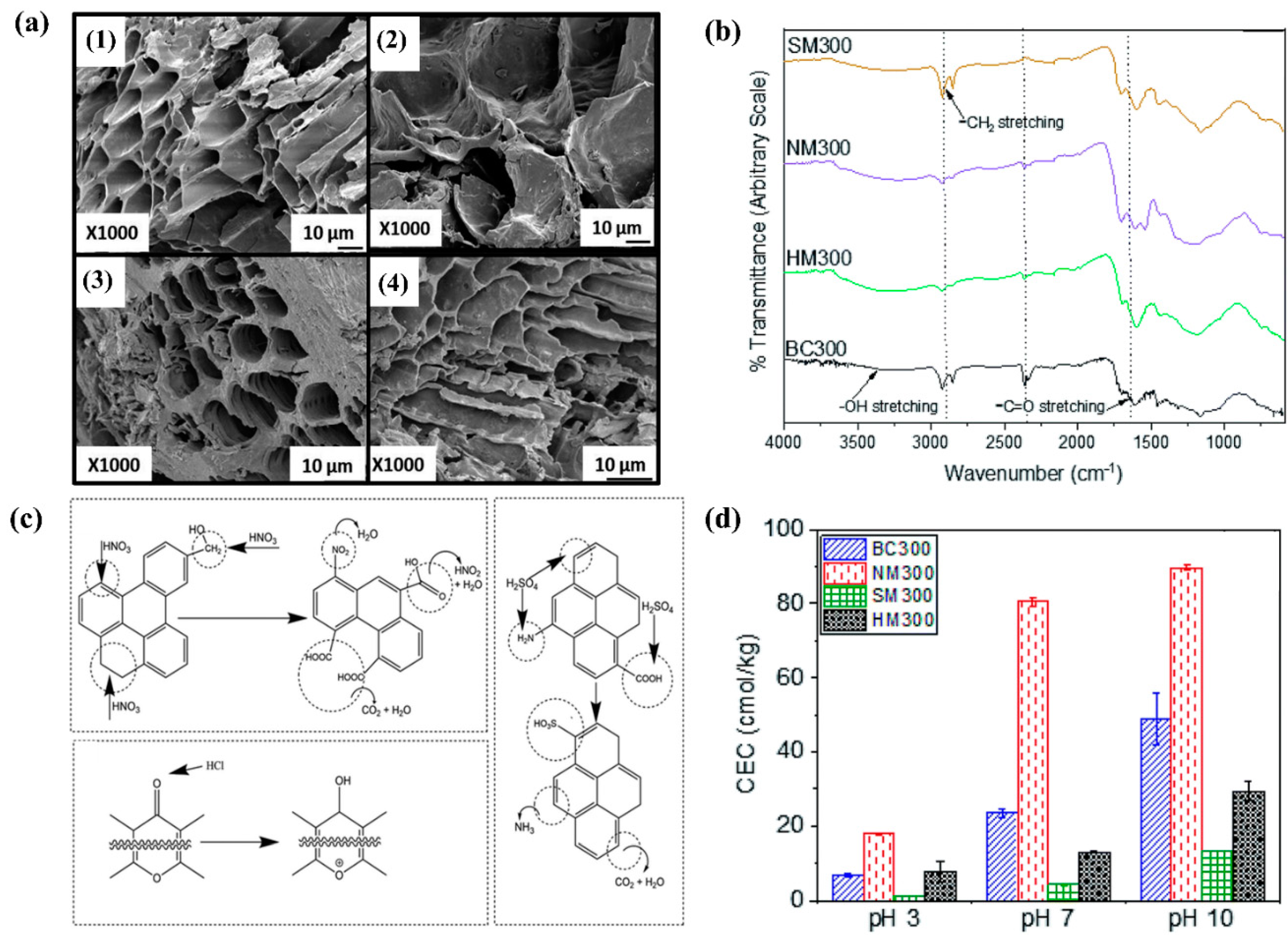 Processes 10 01627 g003