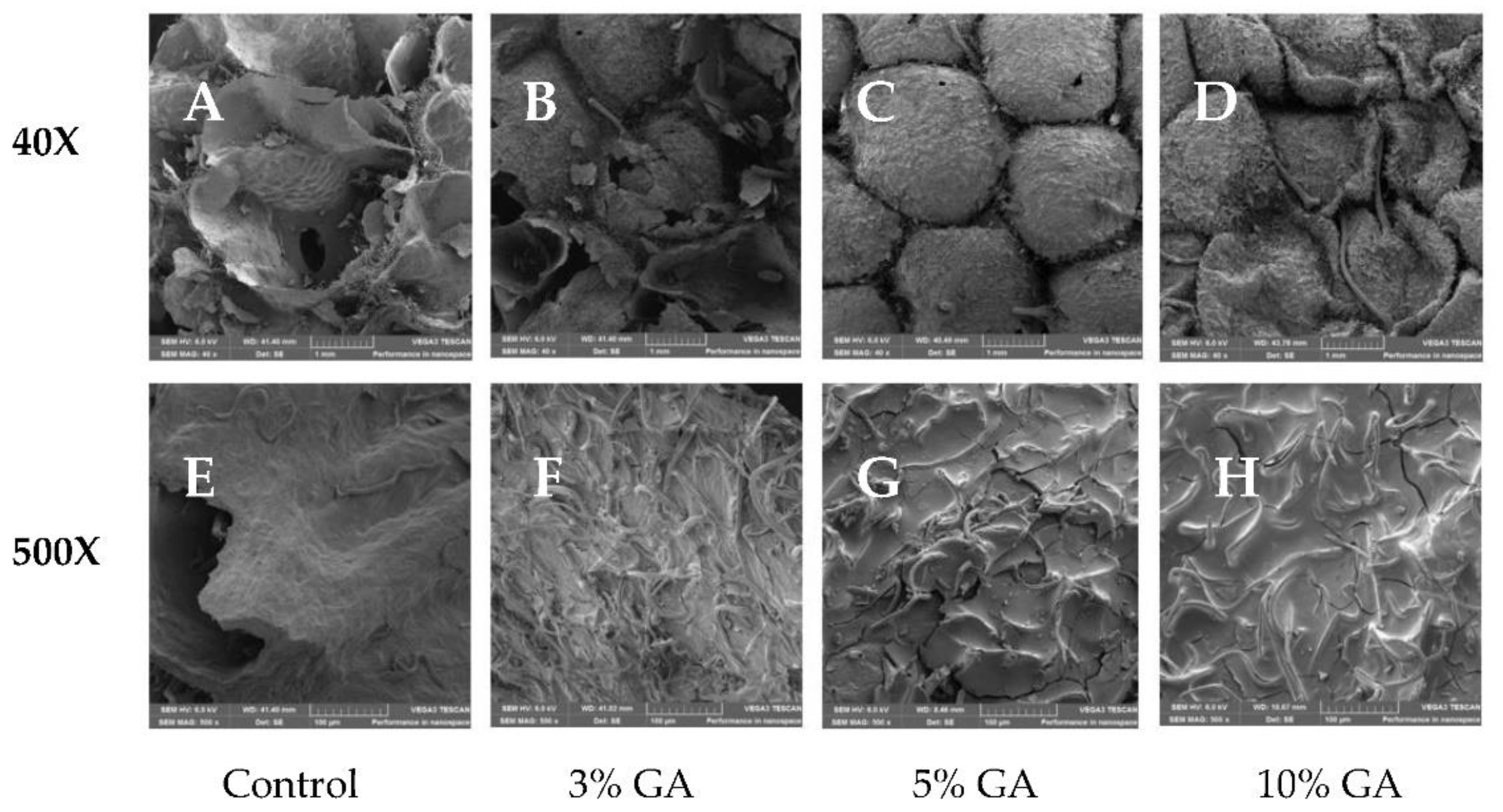 Processes 10 01629 g002