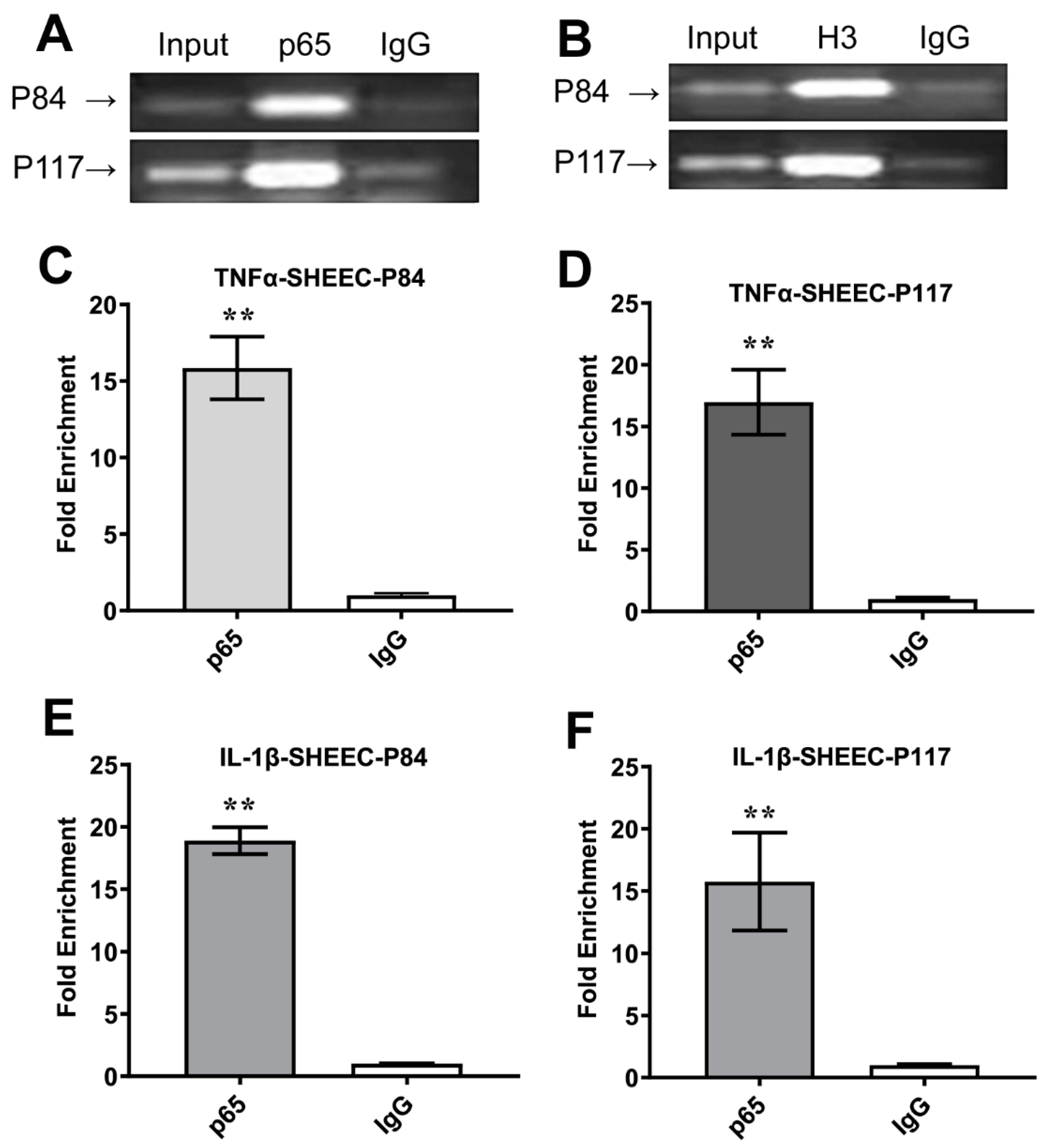 Processes 10 01673 g005 Processes 10 01673 g005