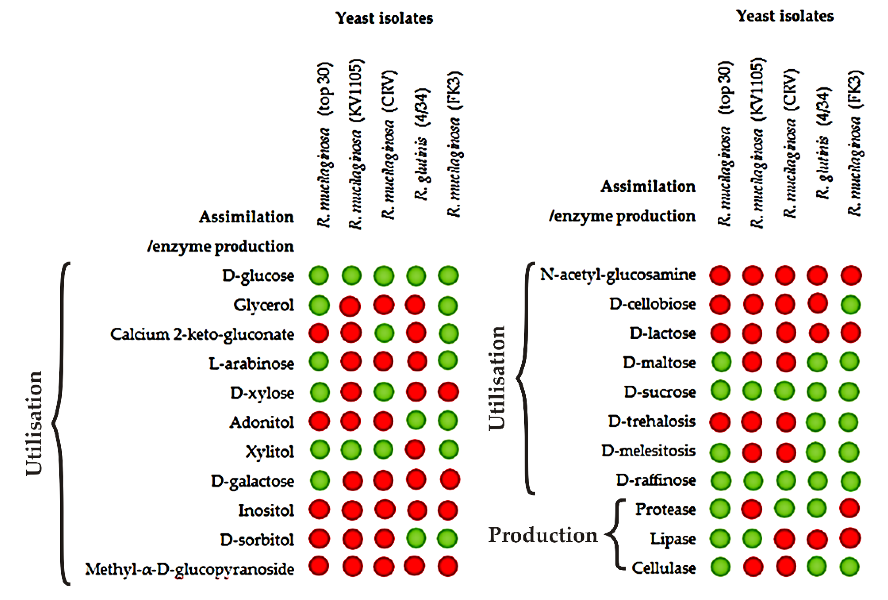 Processes 10 01699 g004