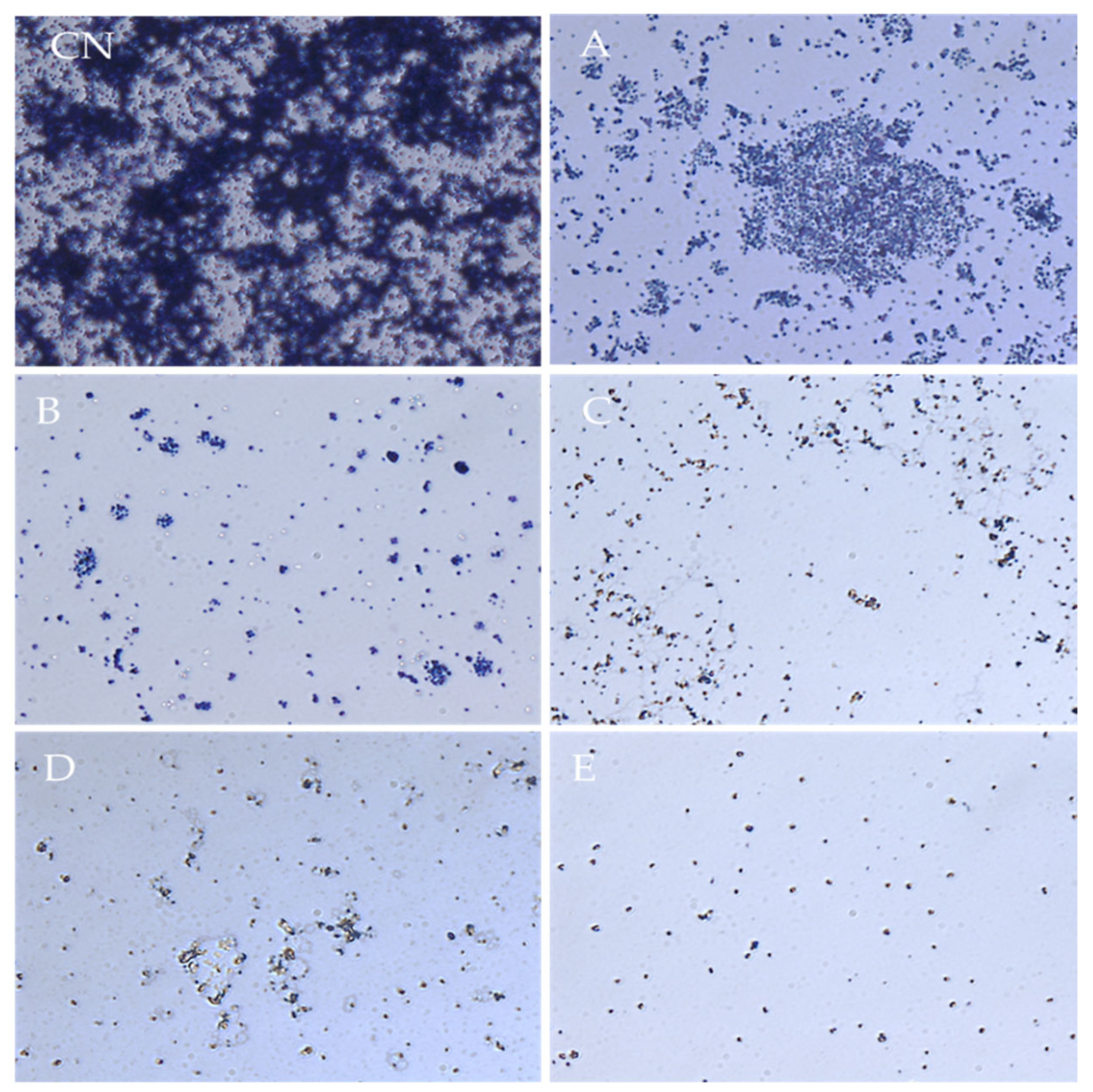 Processes 10 01788 g006 Processes 10 01788 g006