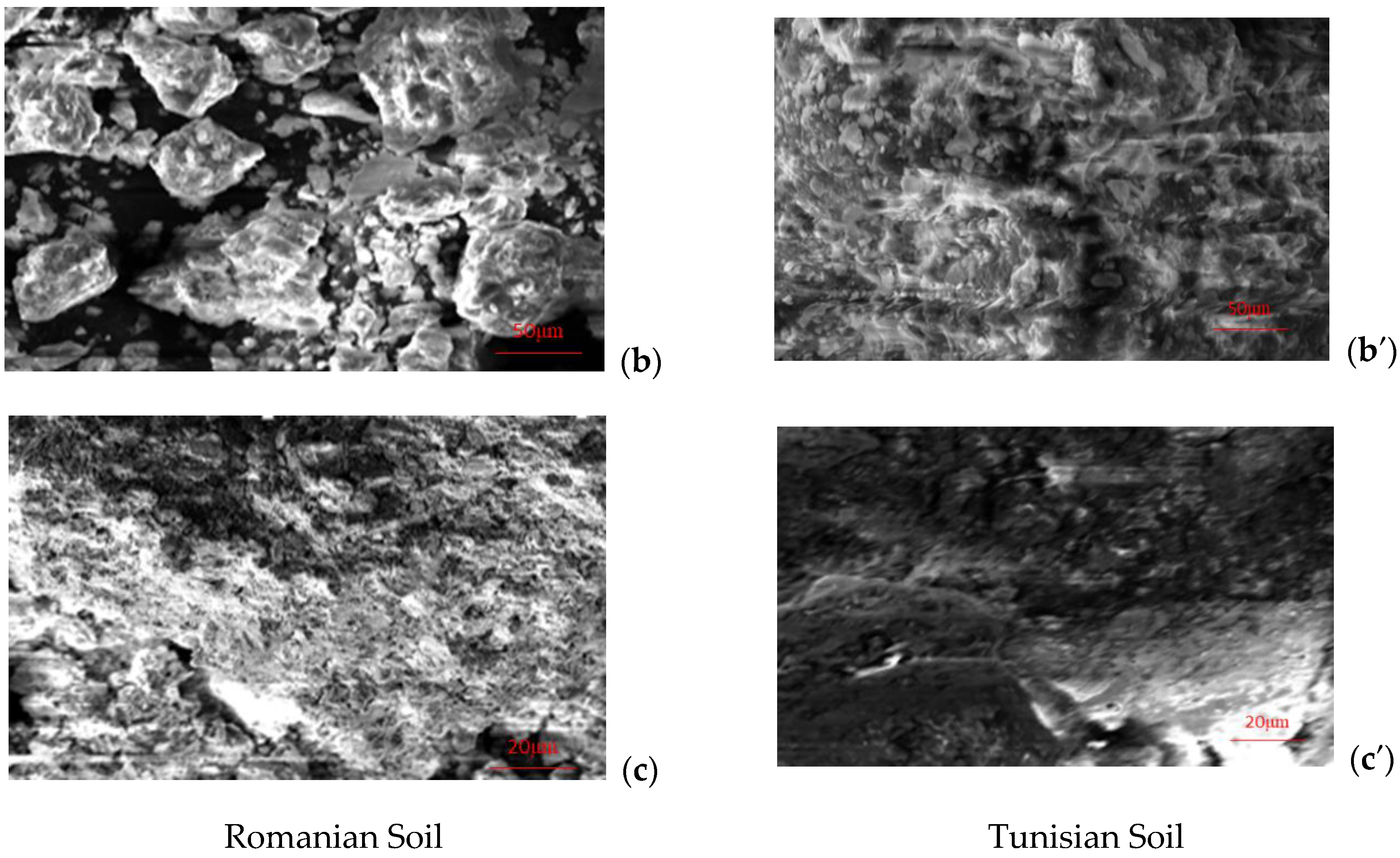 Processes 10 01802 g001b