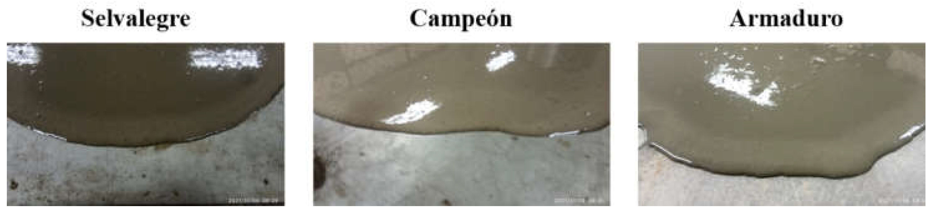 Processes 10 01820 g008