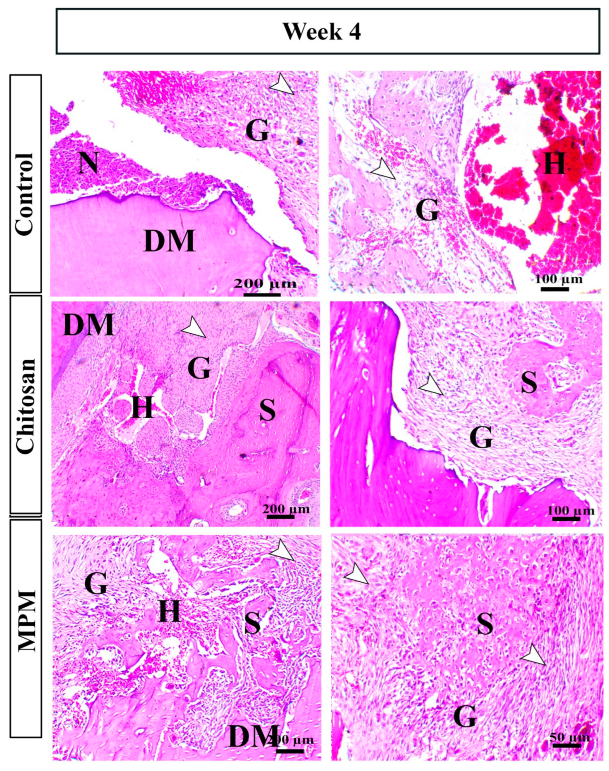 Processes 10 01890 g004 Processes 10 01890 g004