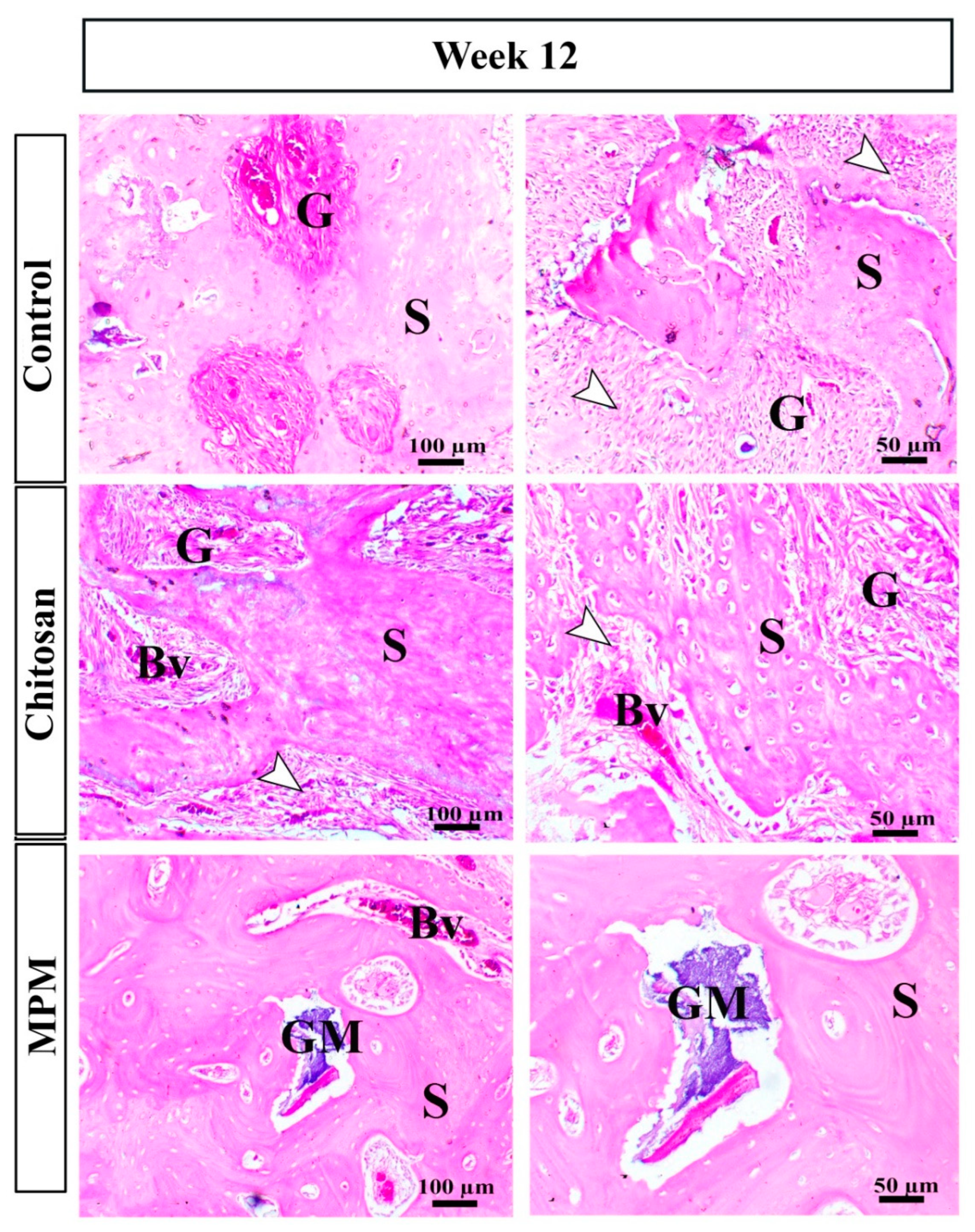 Processes 10 01890 g006 Processes 10 01890 g006