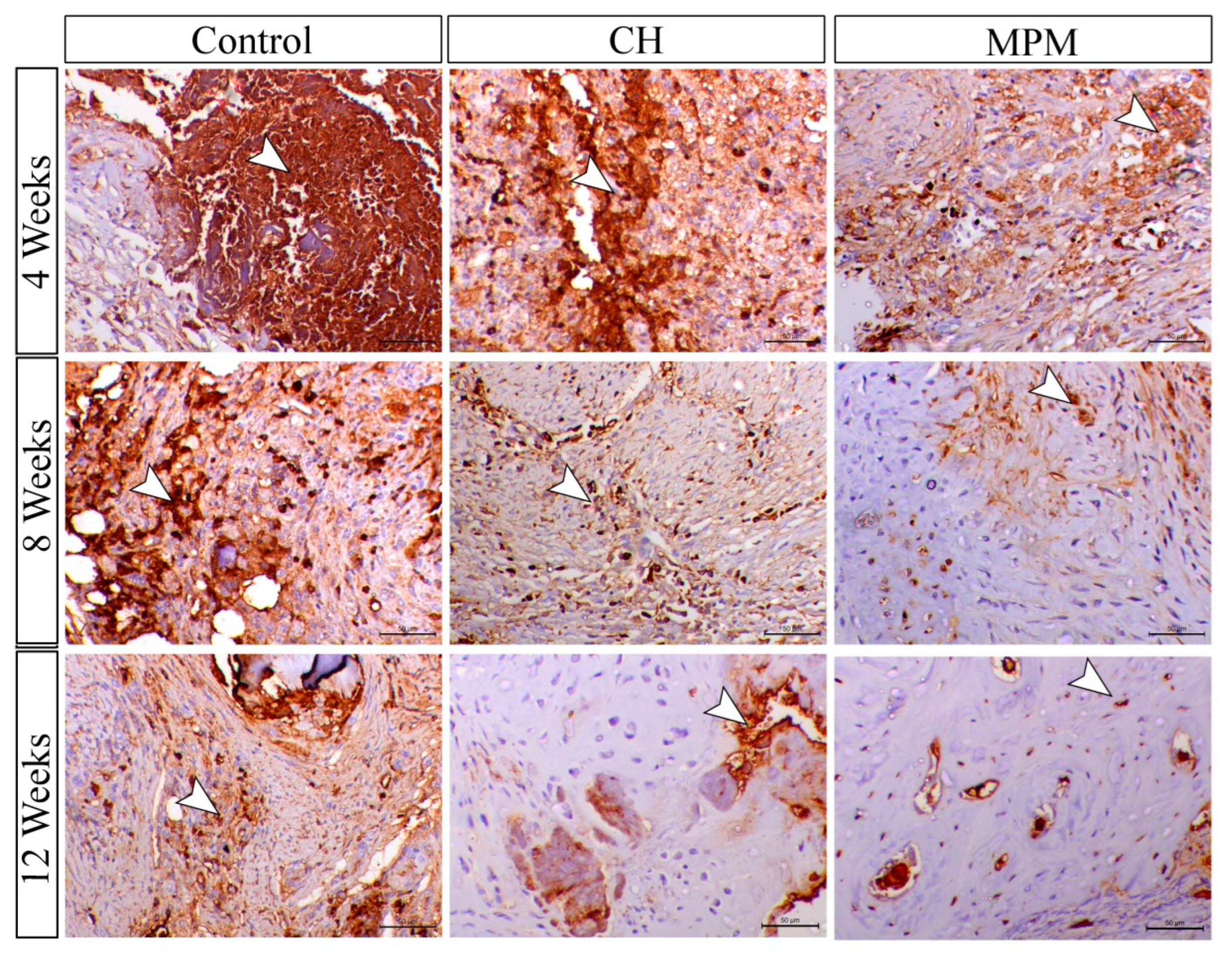 Processes 10 01890 g010 Processes 10 01890 g010