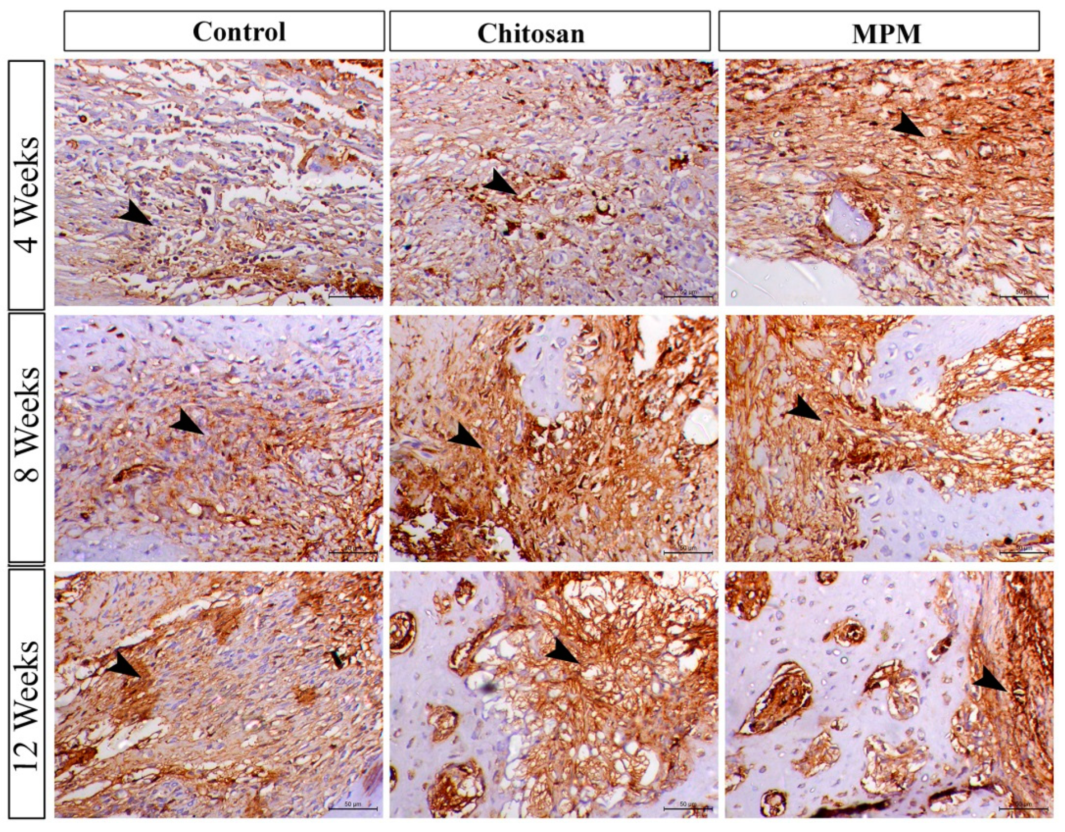 Processes 10 01890 g012 Processes 10 01890 g012