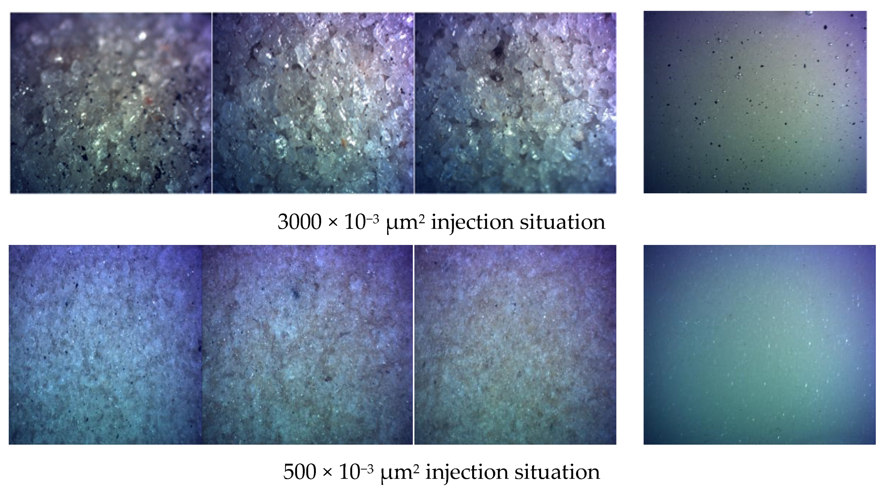 Processes 10 01917 g005