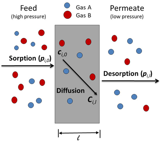 Processes | Free Full-Text | Recent Advances in Membrane-Based 