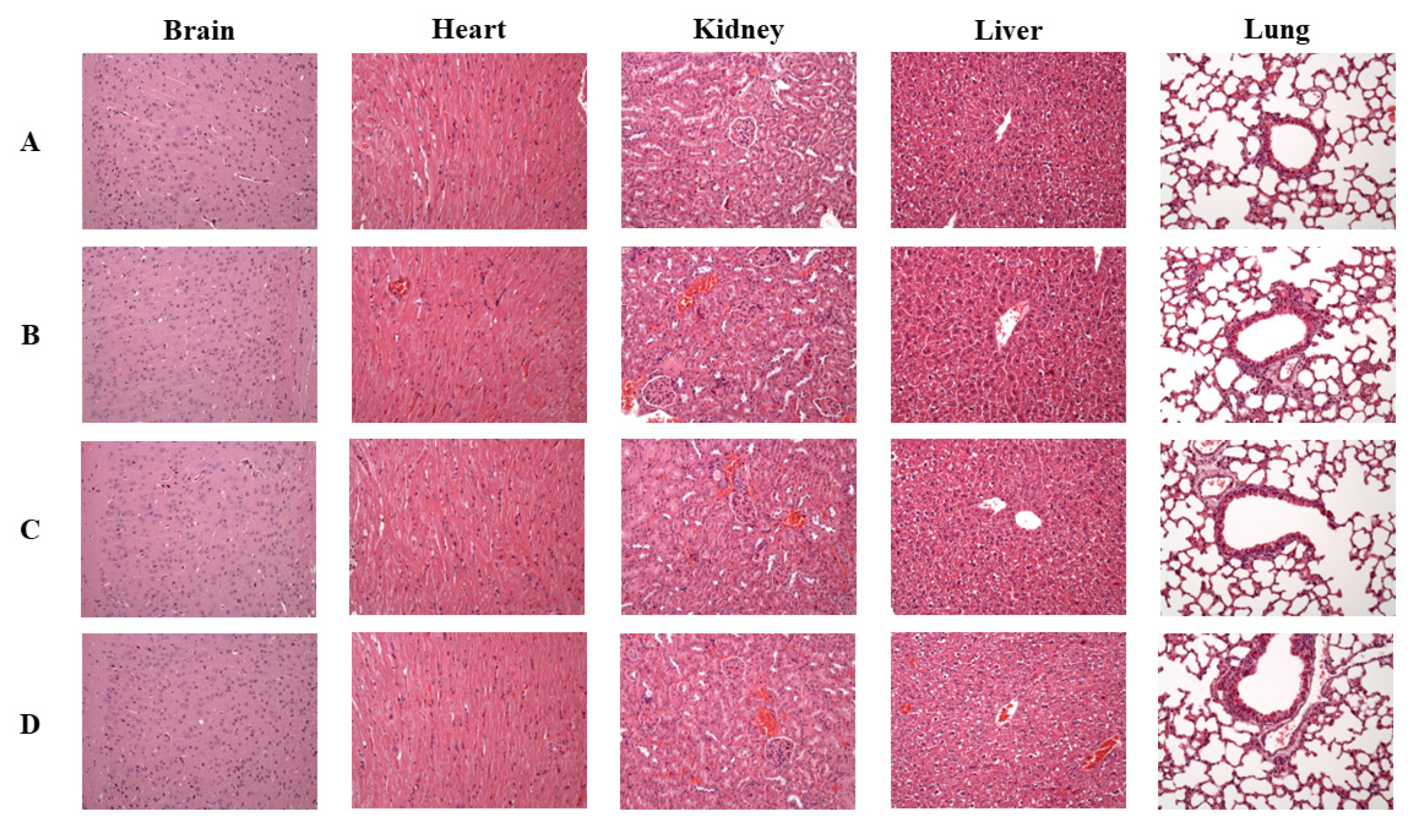 Processes 10 02242 g003