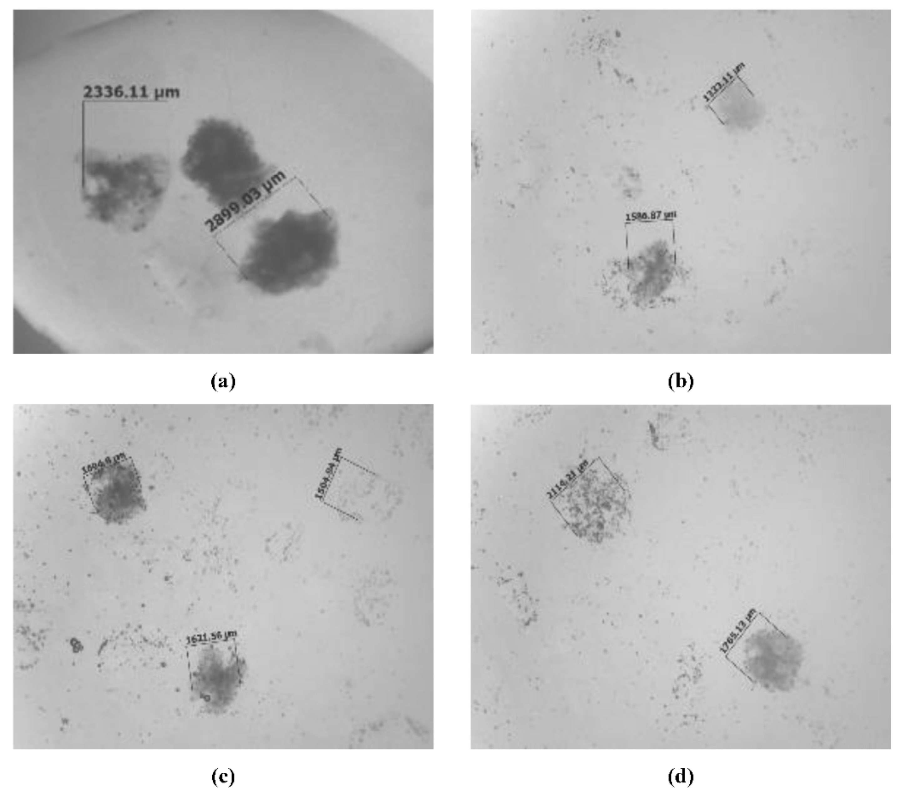 Processes 10 02332 g009