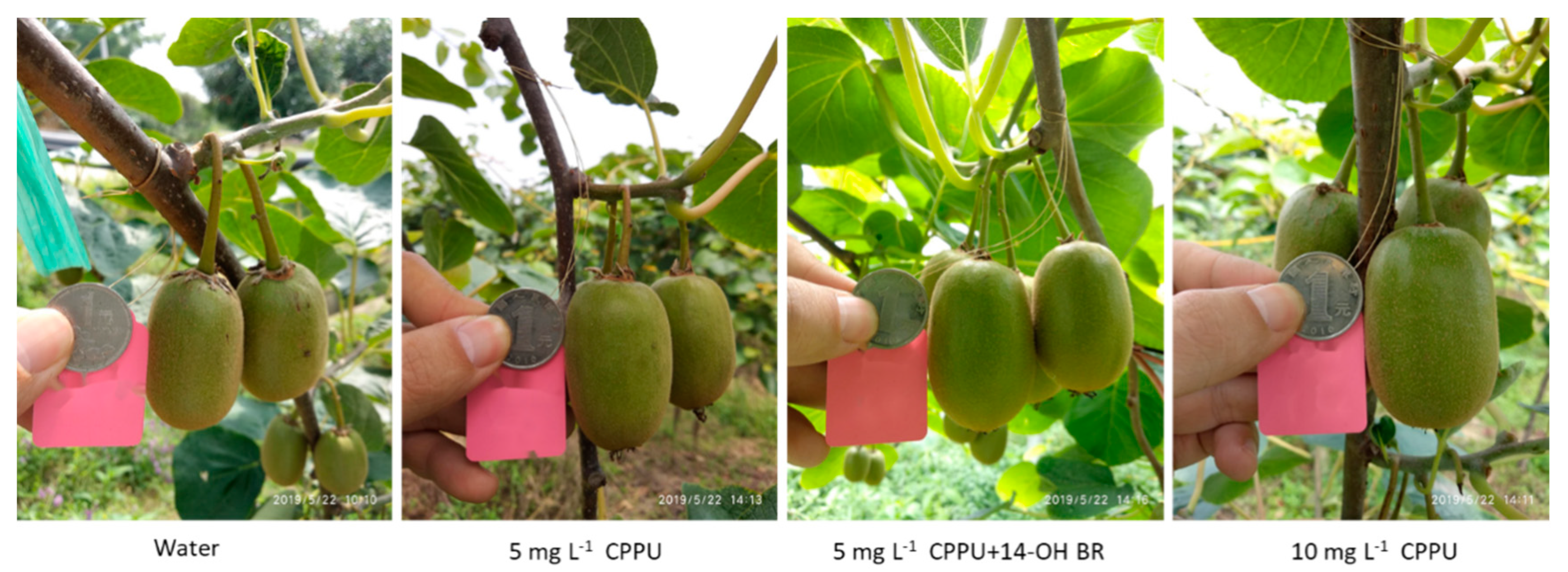 Processes 10 02345 g003