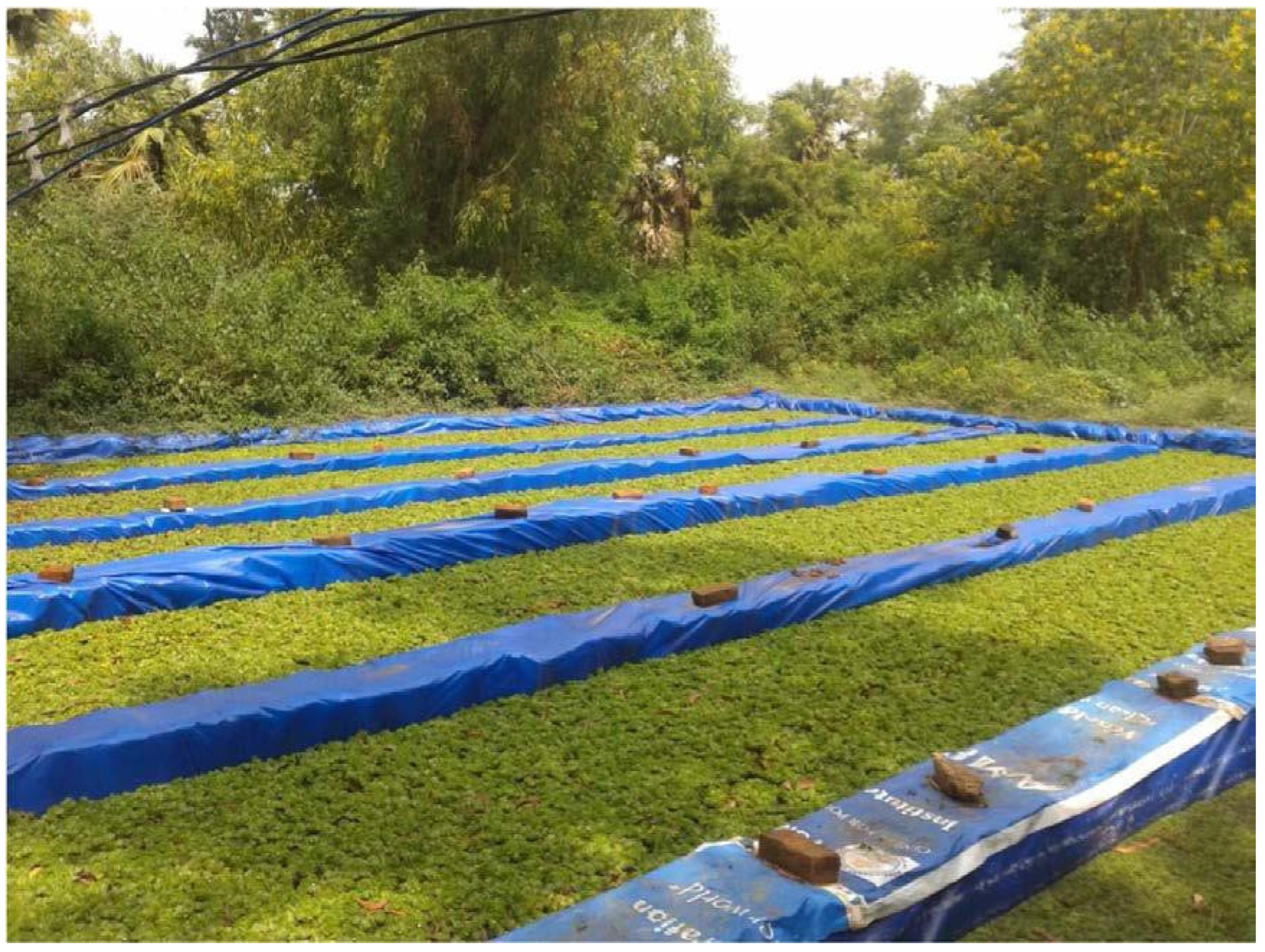 Processes 10 02350 g002