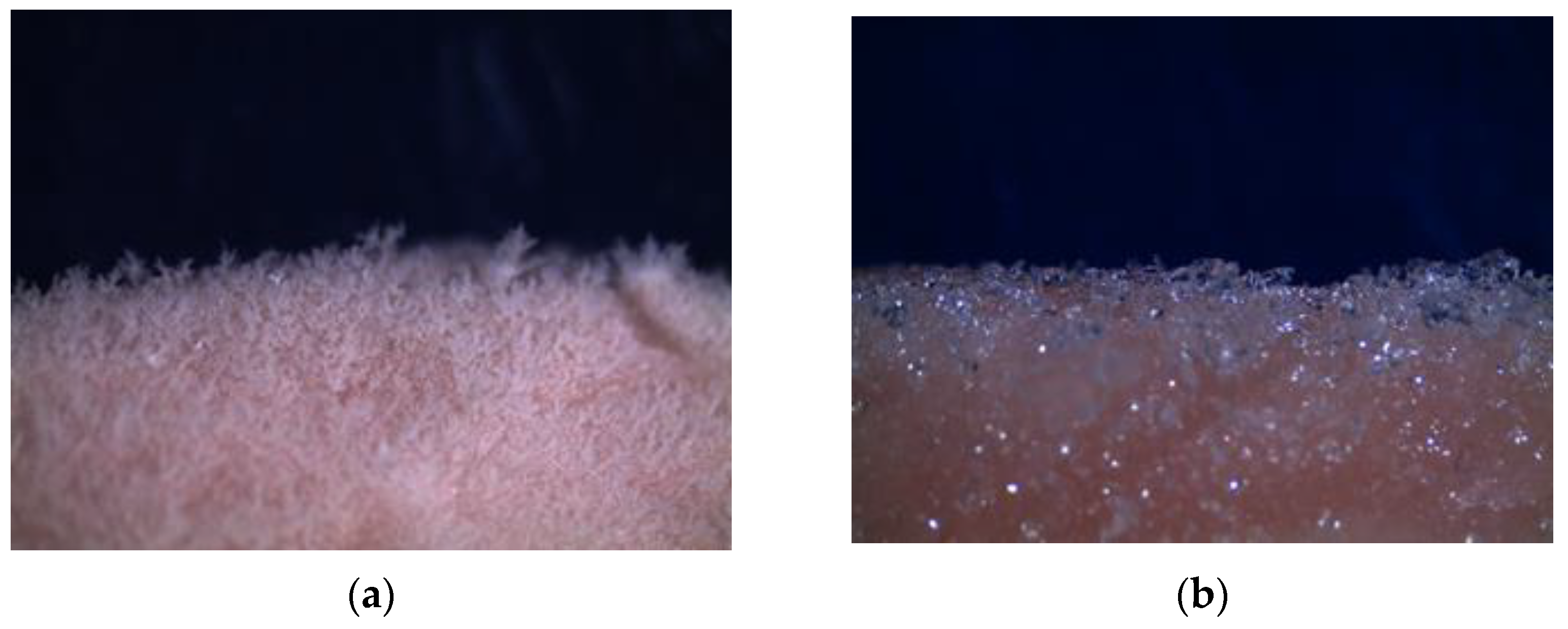 Processes 10 02415 g002 Processes 10 02415 g002