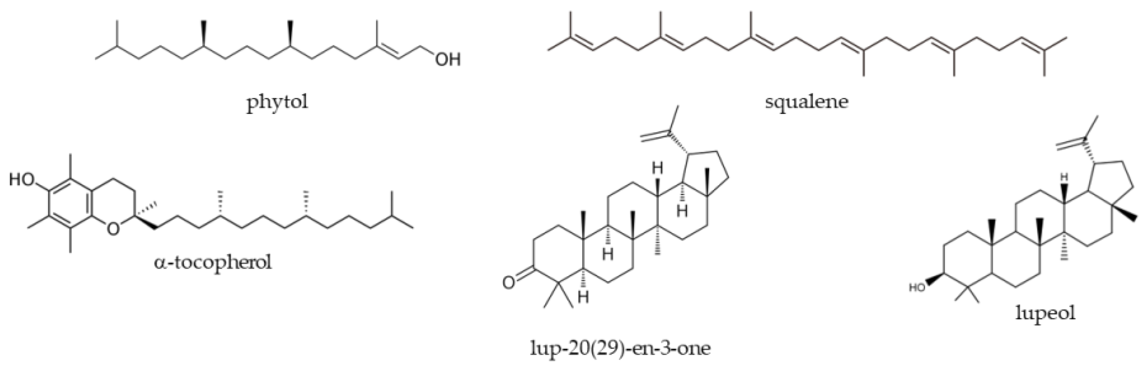 Processes 10 02429 g003