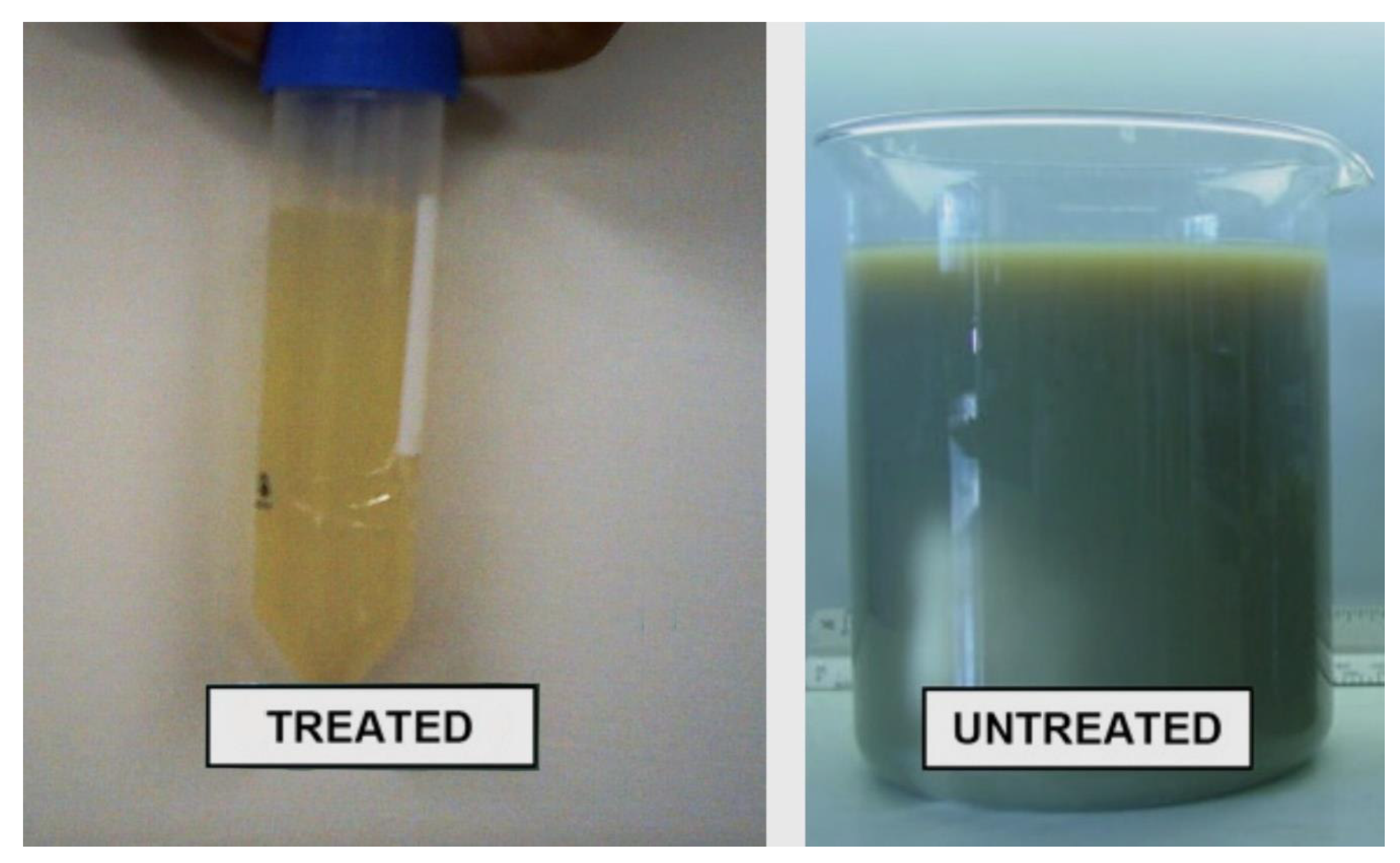 Processes 10 02441 g003