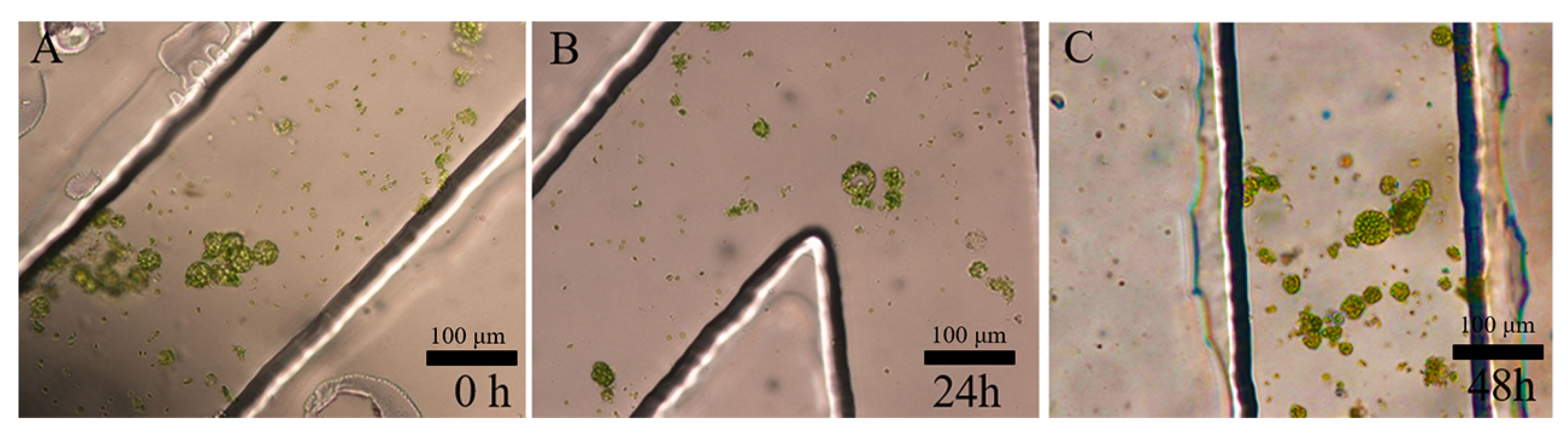 Processes 10 02507 g001