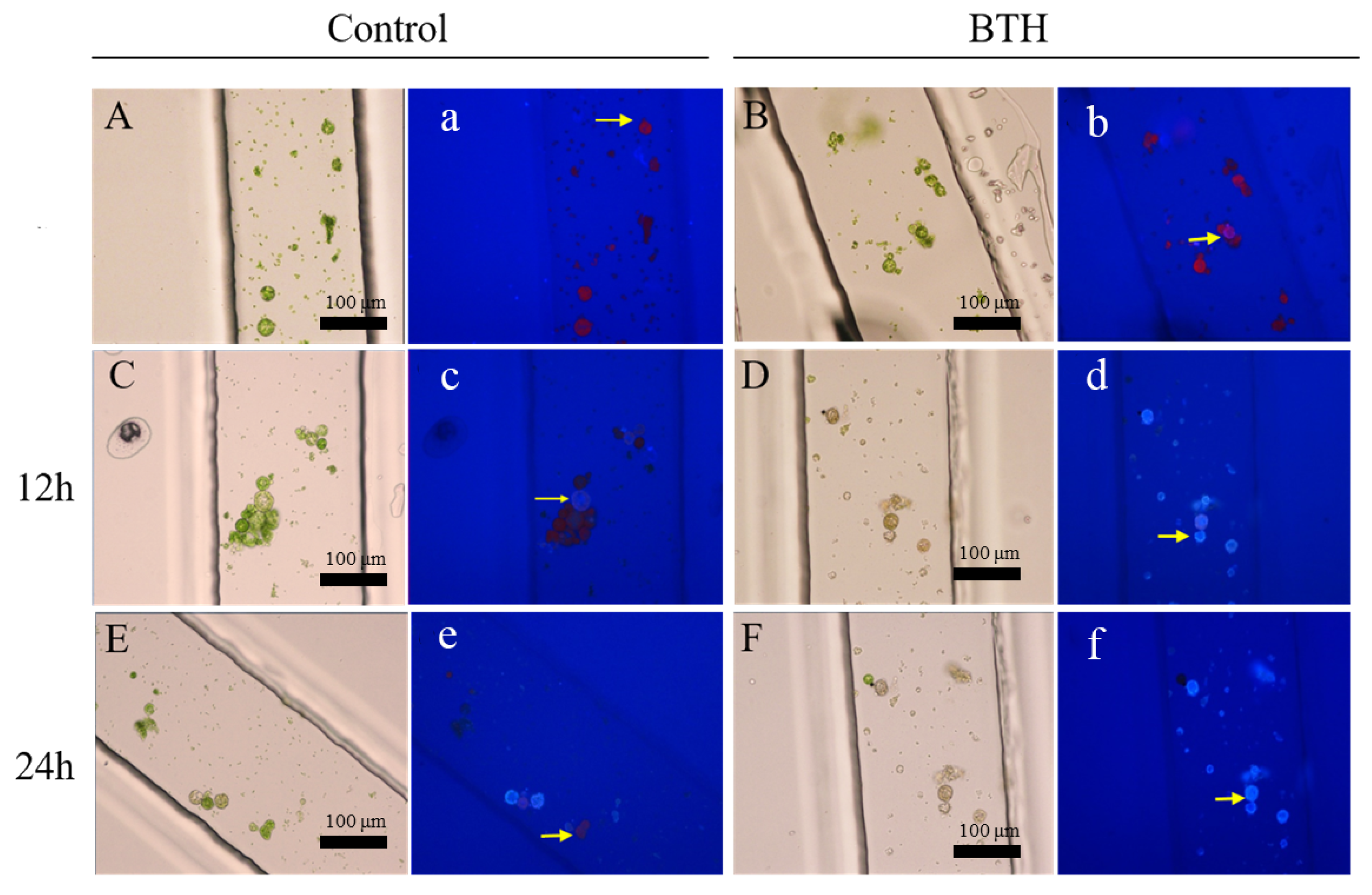 Processes 10 02507 g002