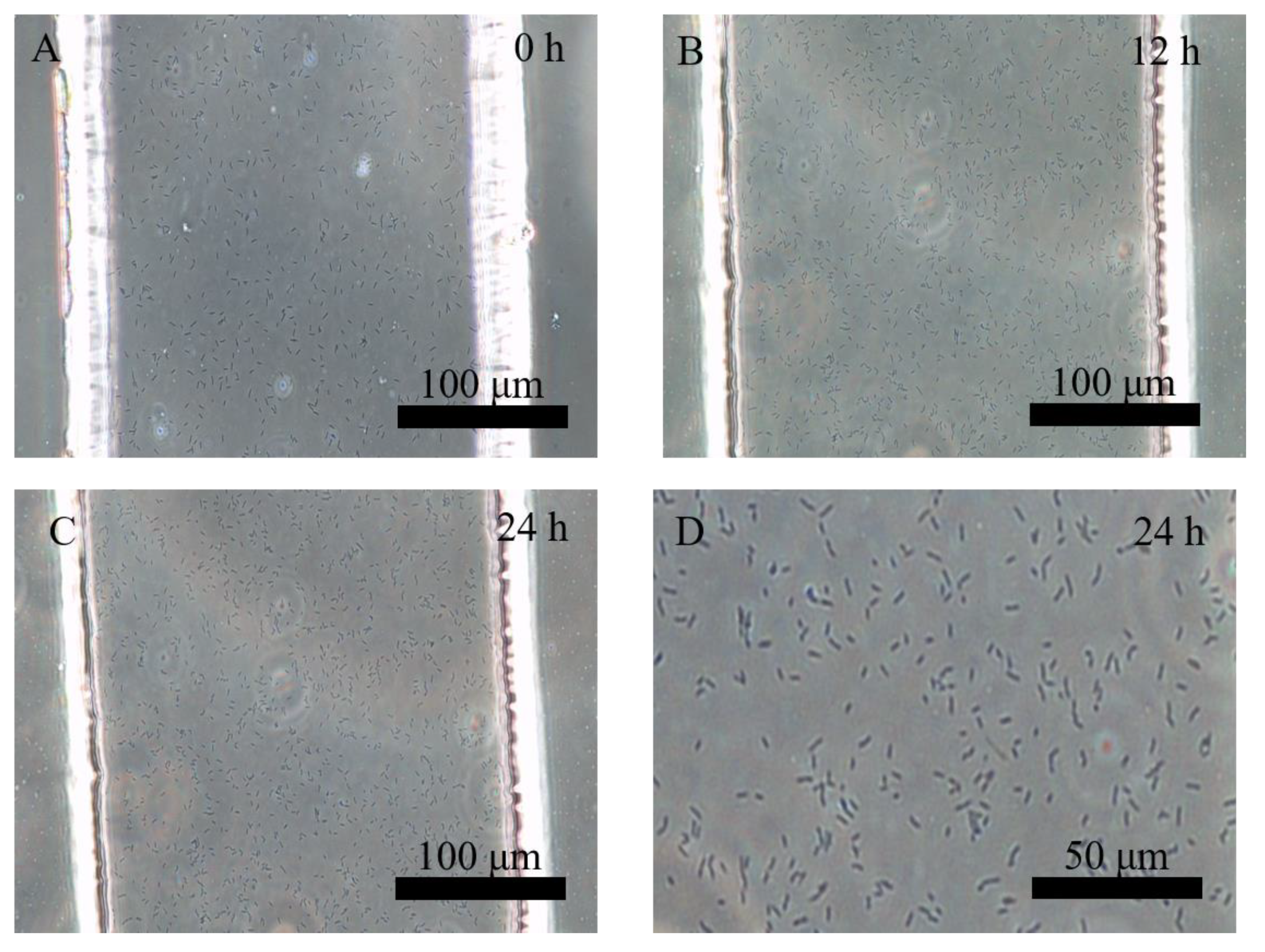 Processes 10 02507 g004
