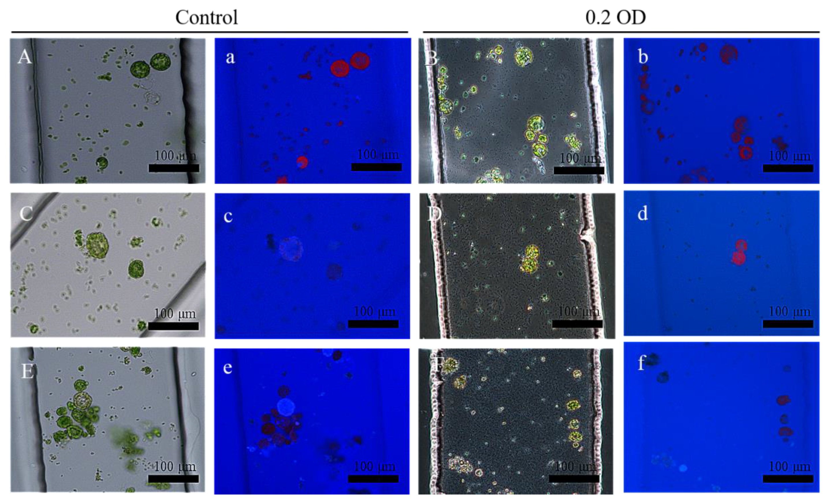 Processes 10 02507 g006