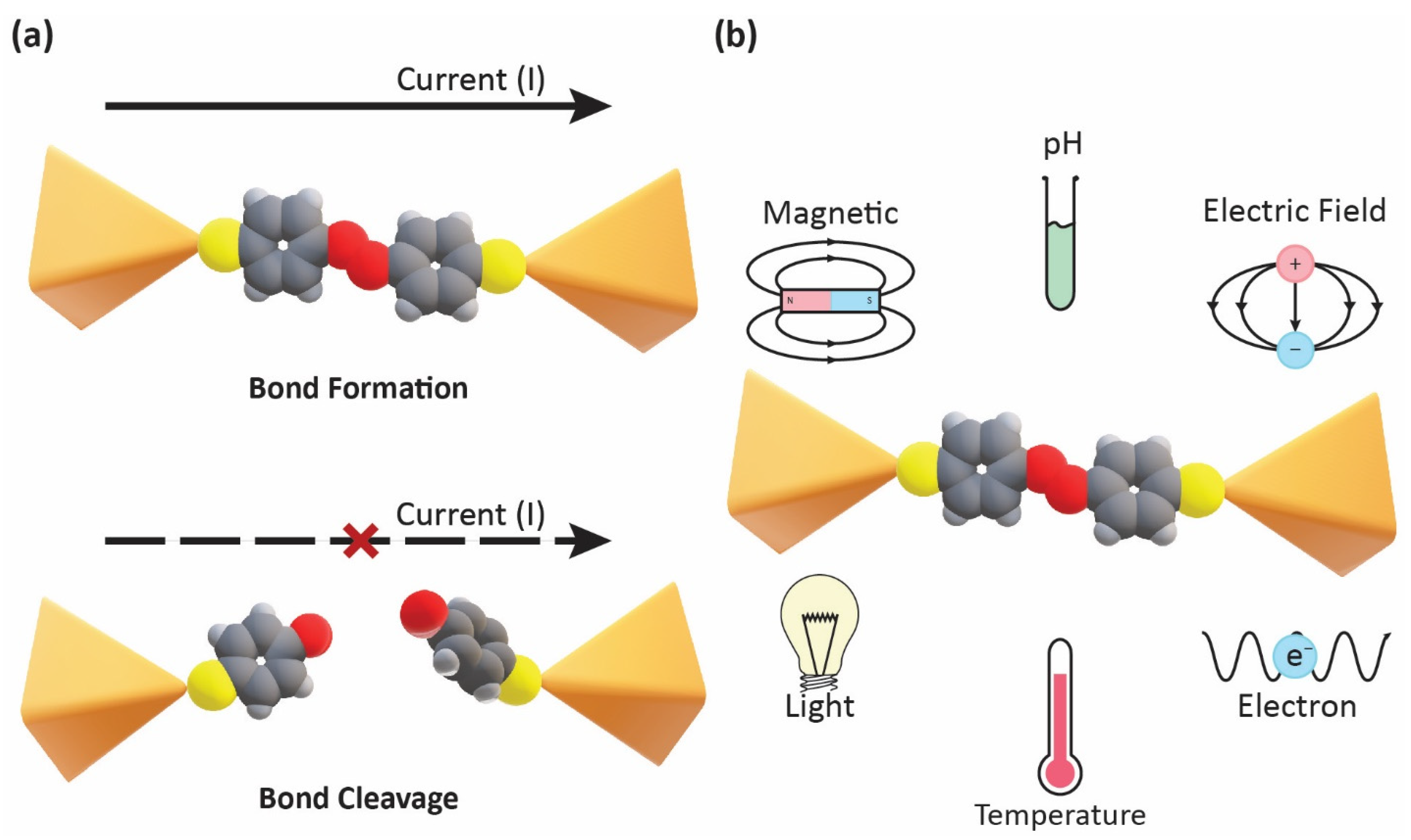 Processes Free Full Text Single Molecule Chemical Reactions Unveiled In Molecular Junctions 