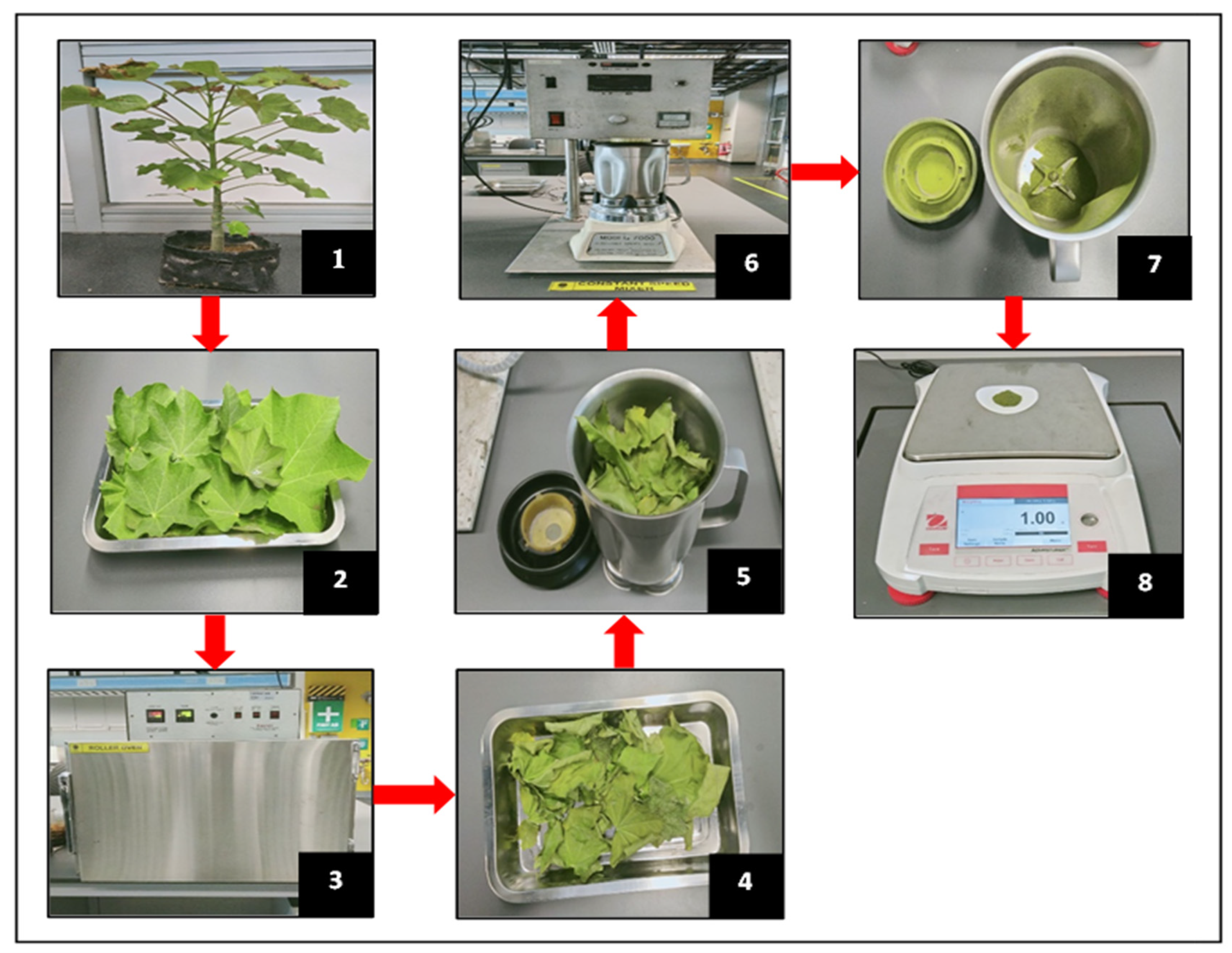 Processes 10 02577 g007 Processes 10 02577 g007