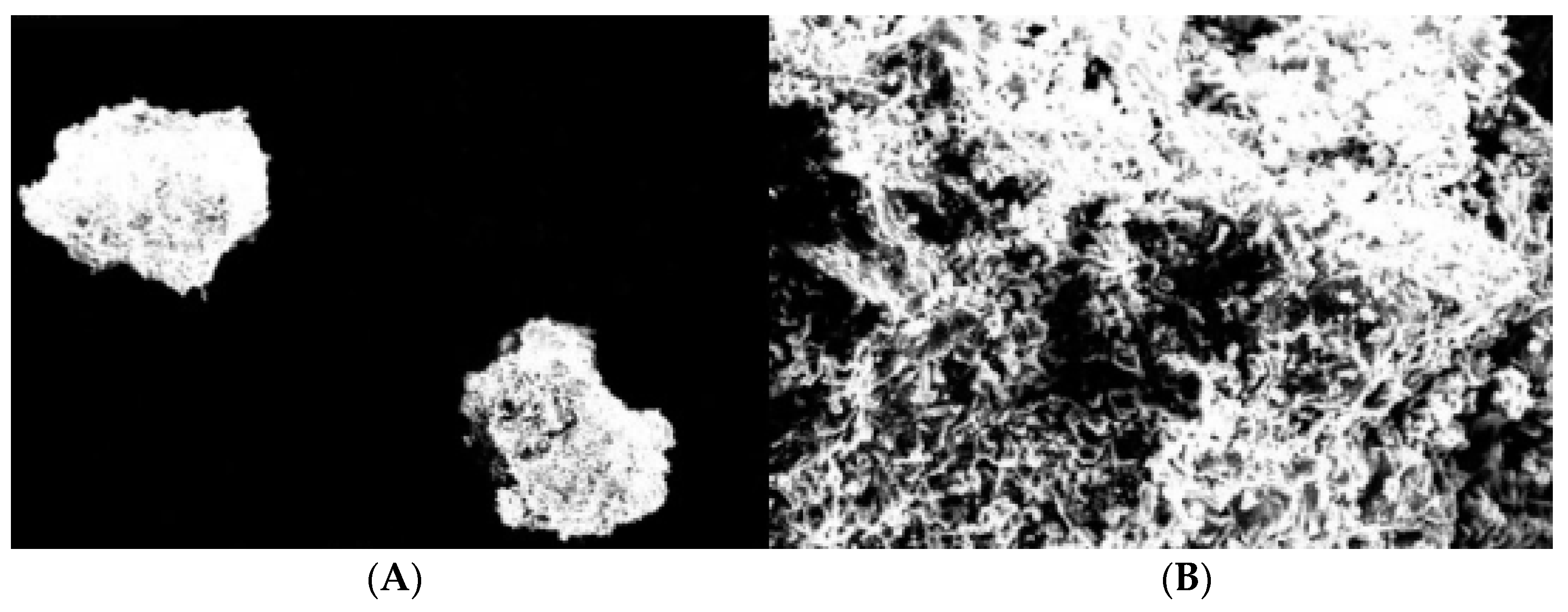 Processes 10 02697 g006 Processes 10 02697 g006