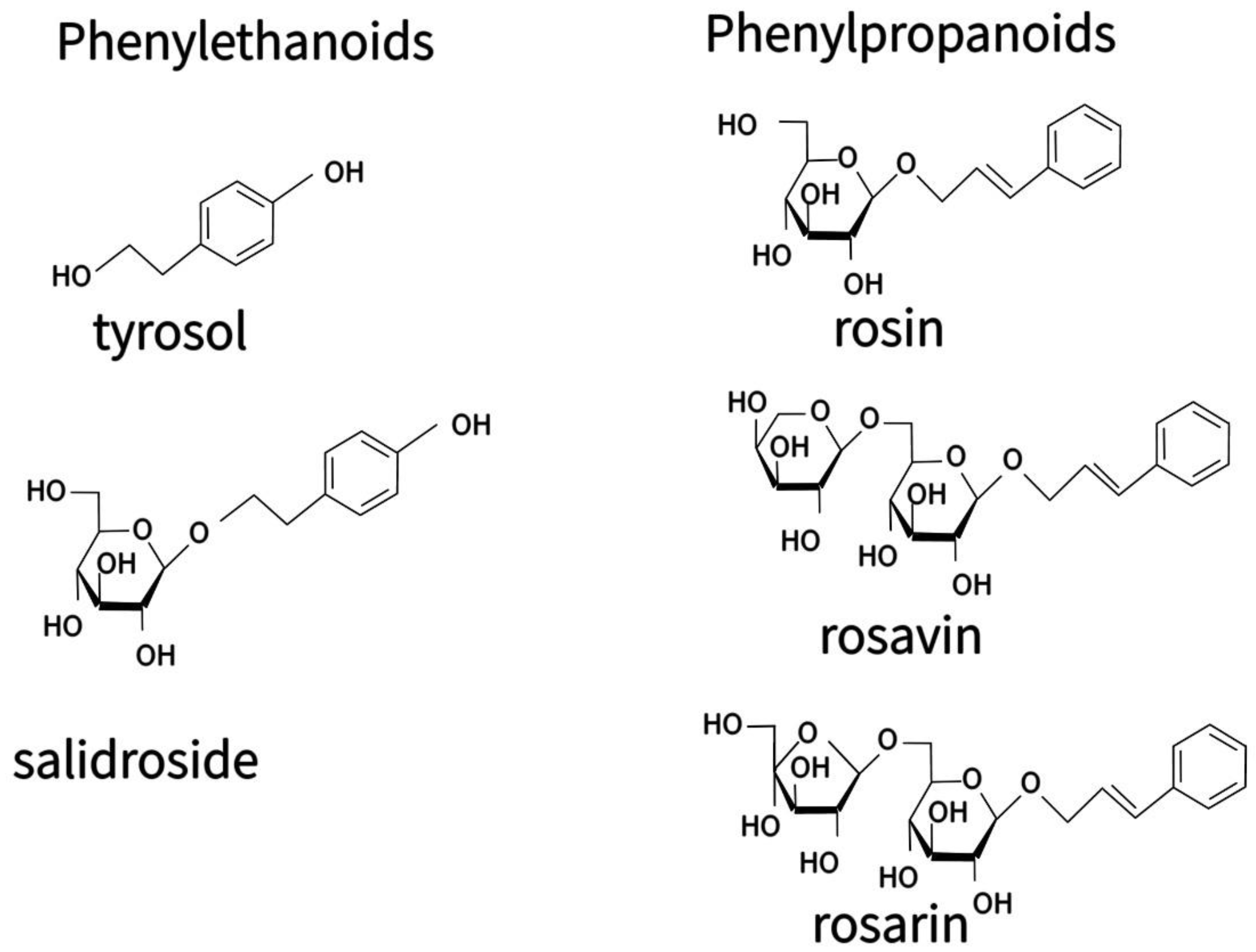 Processes 11 00028 g001