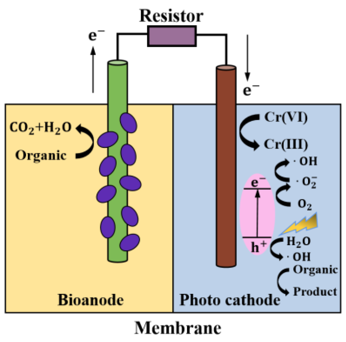 Processes 11 00088 g005