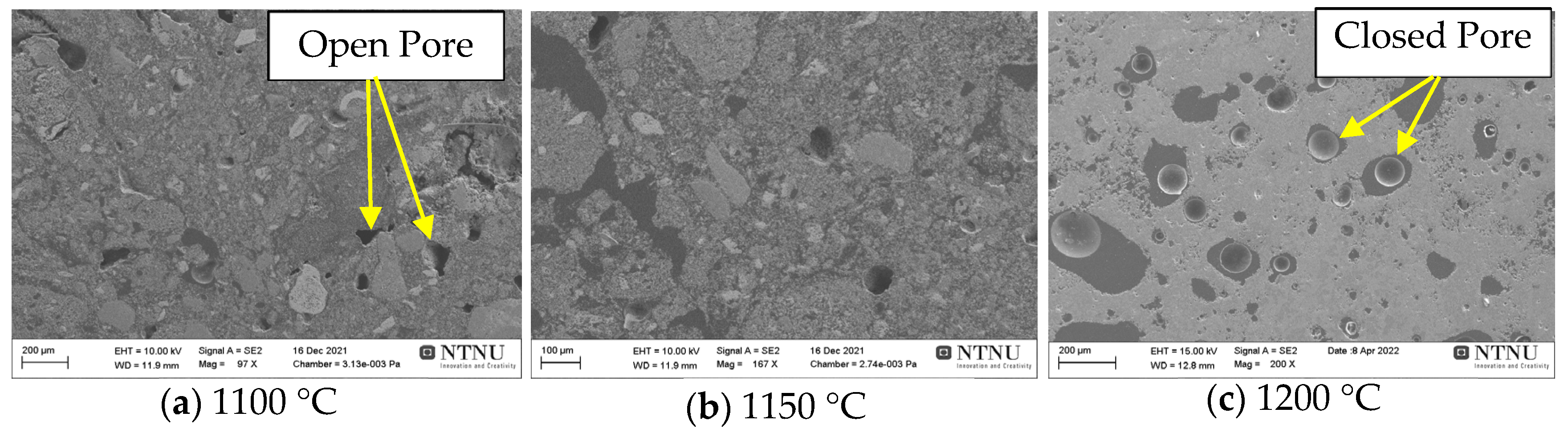 Processes 11 00137 g008