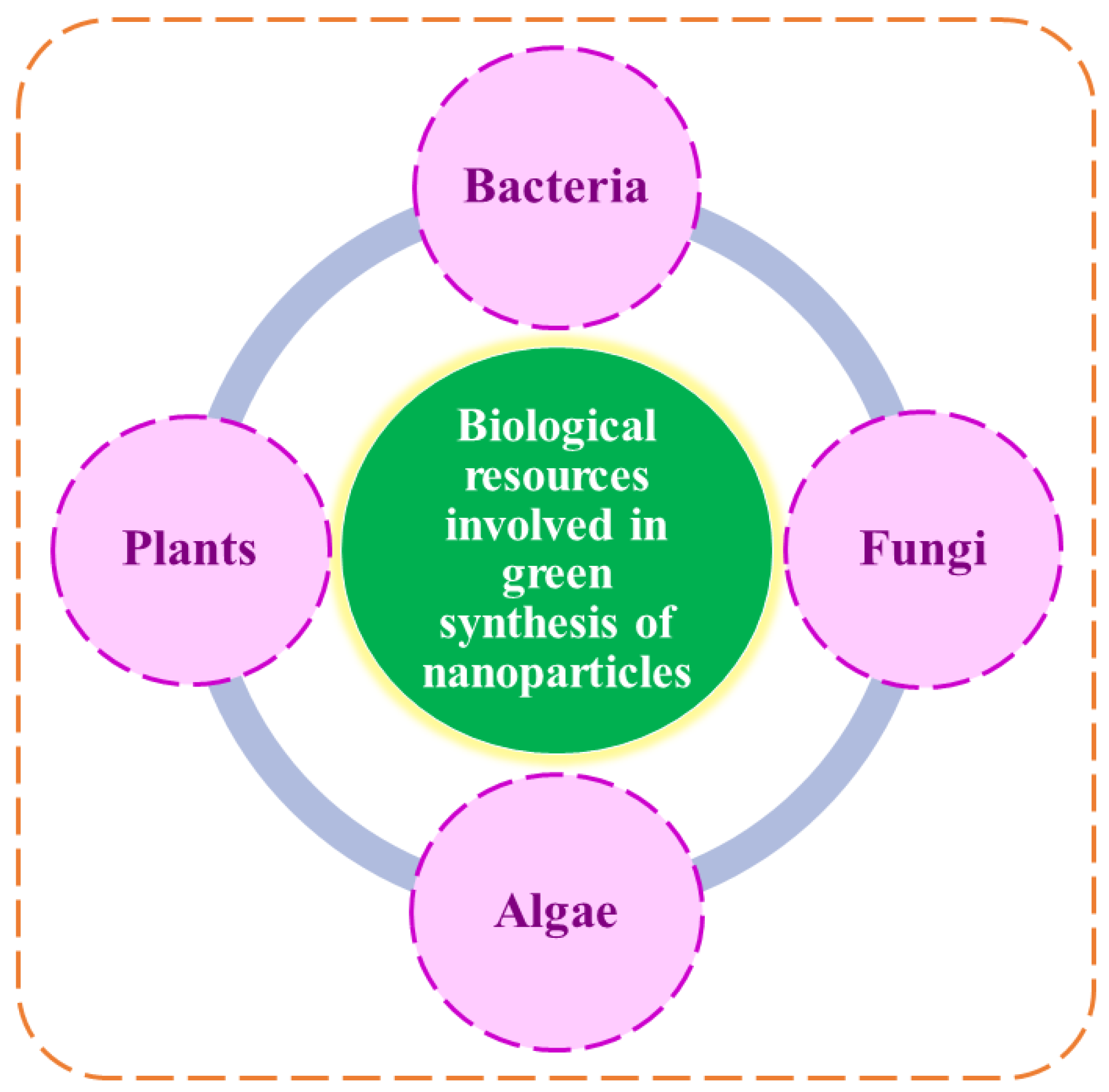Processes 11 00141 g001