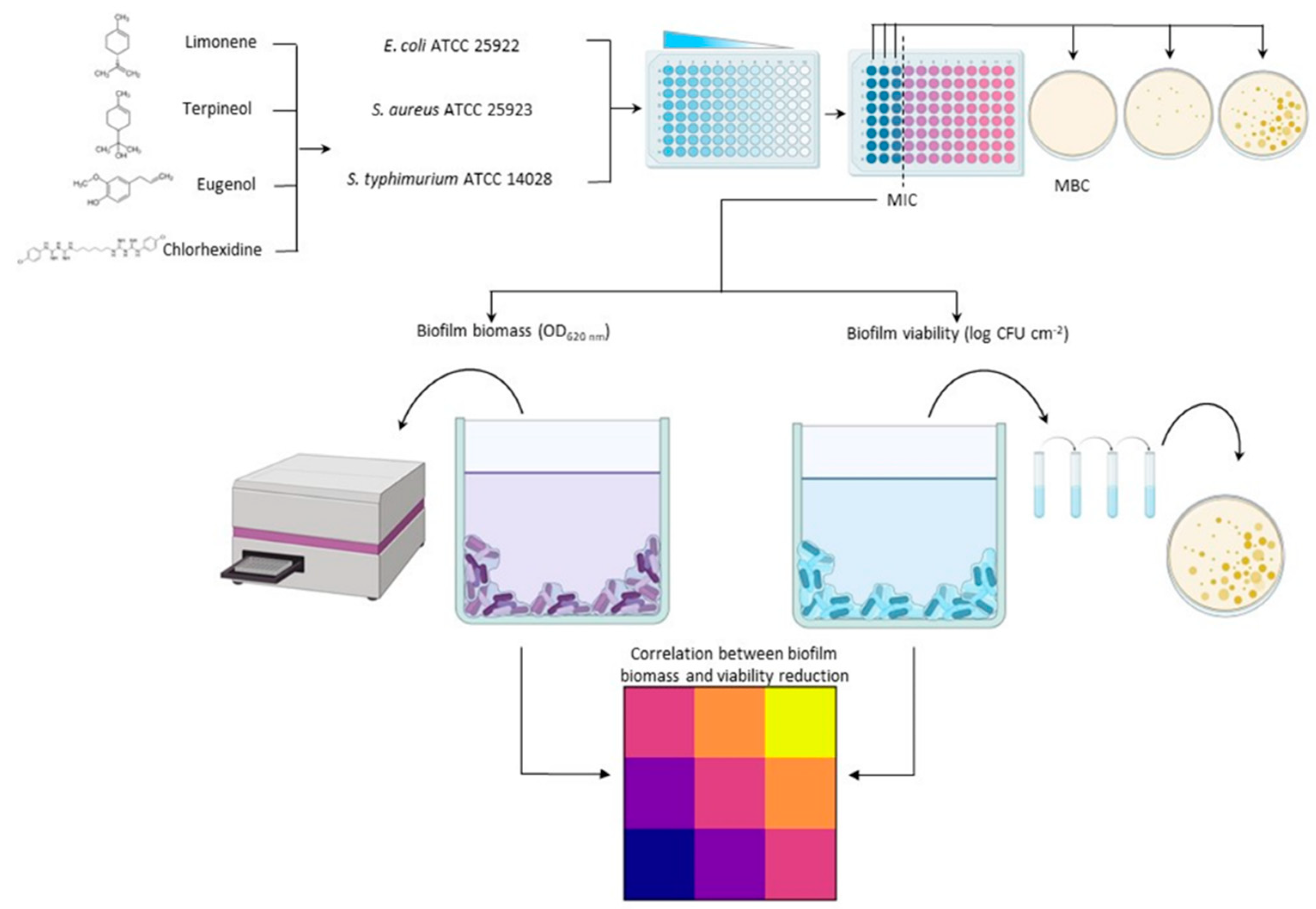 Processes 11 00148 g001