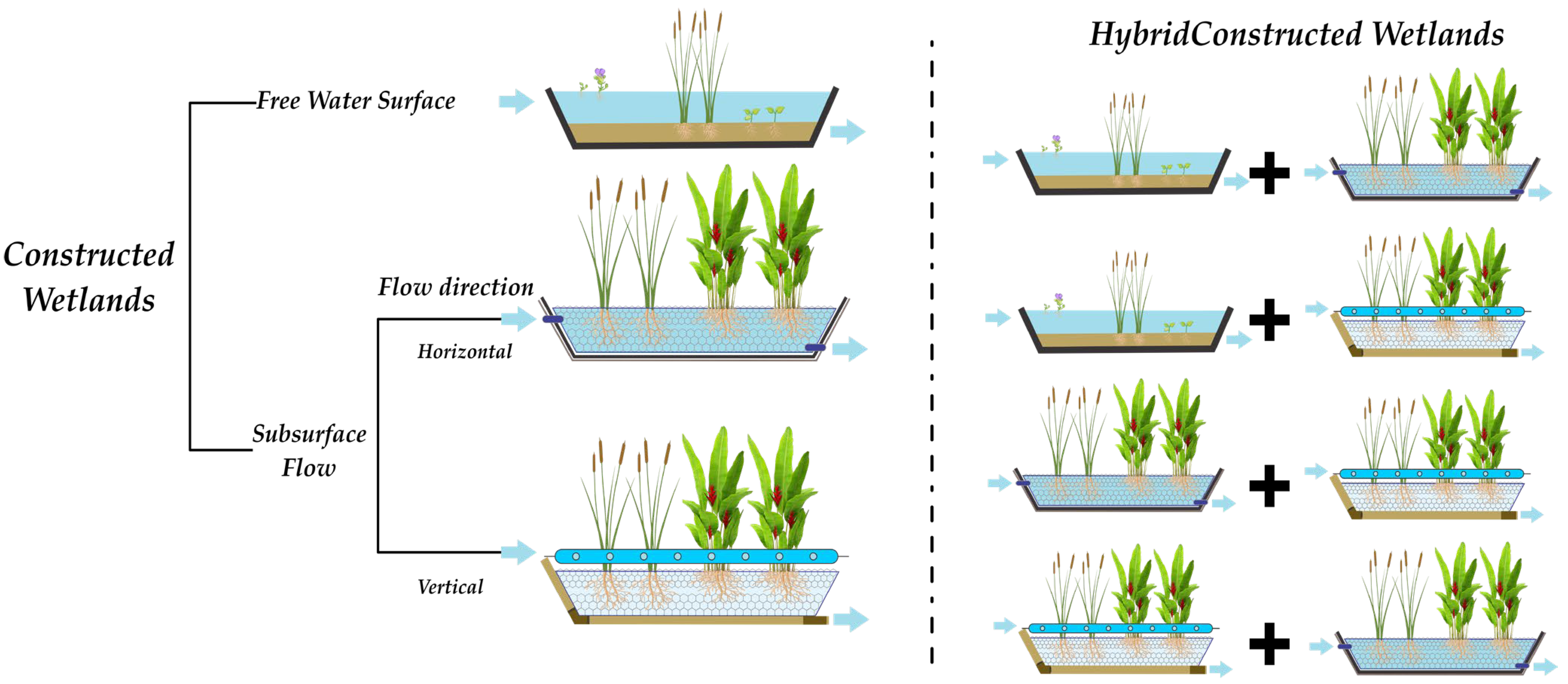 types of constructed wetlands