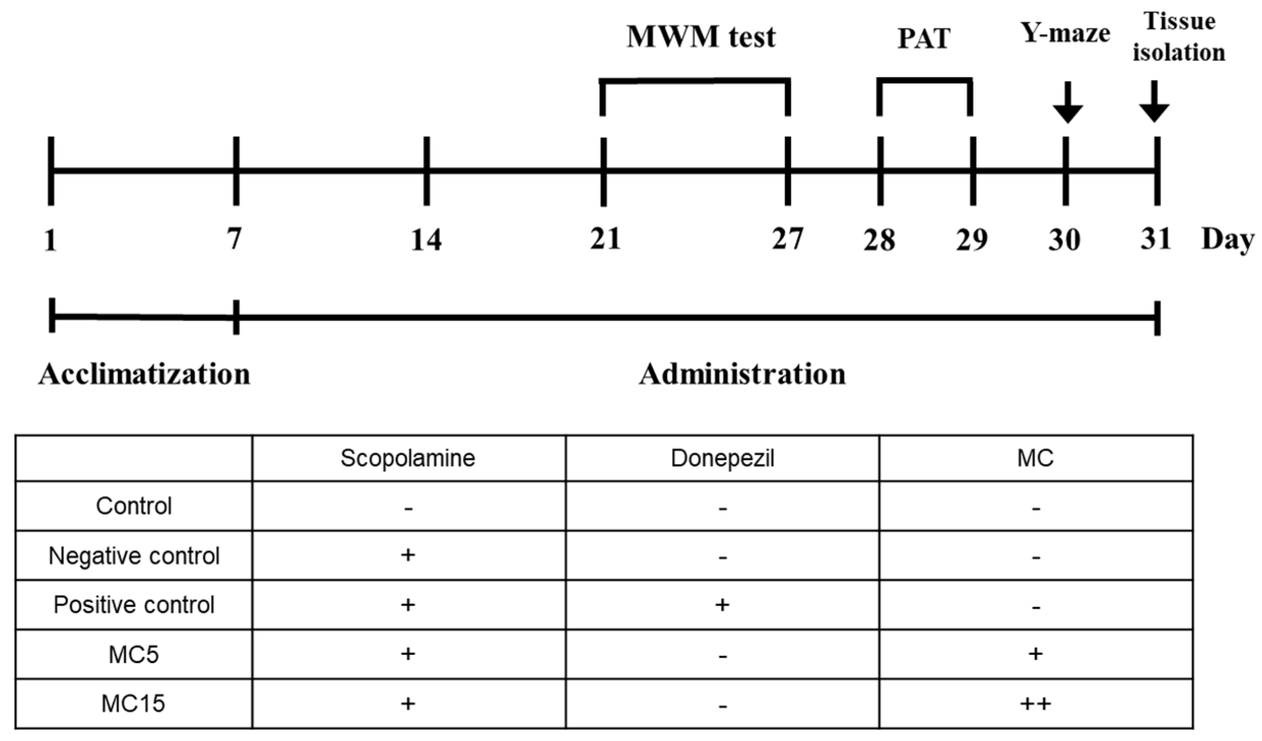 Processes 11 00385 g001