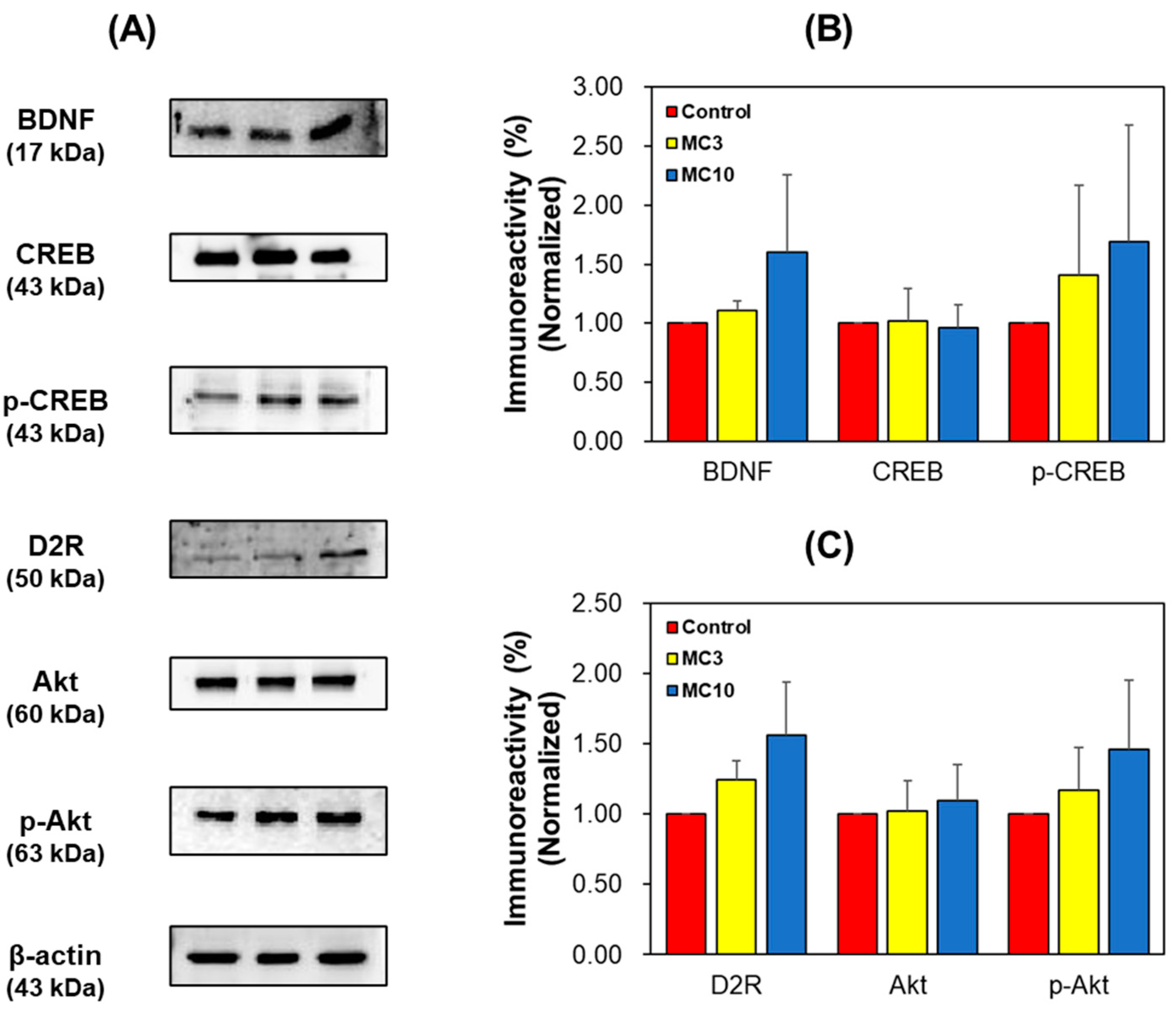 Processes 11 00385 g007