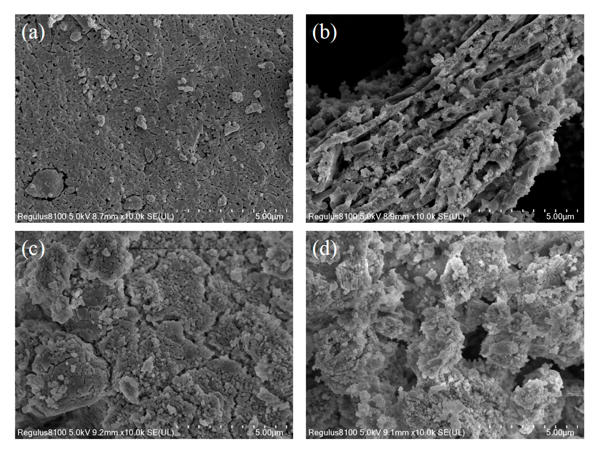 Processes 11 00460 g008