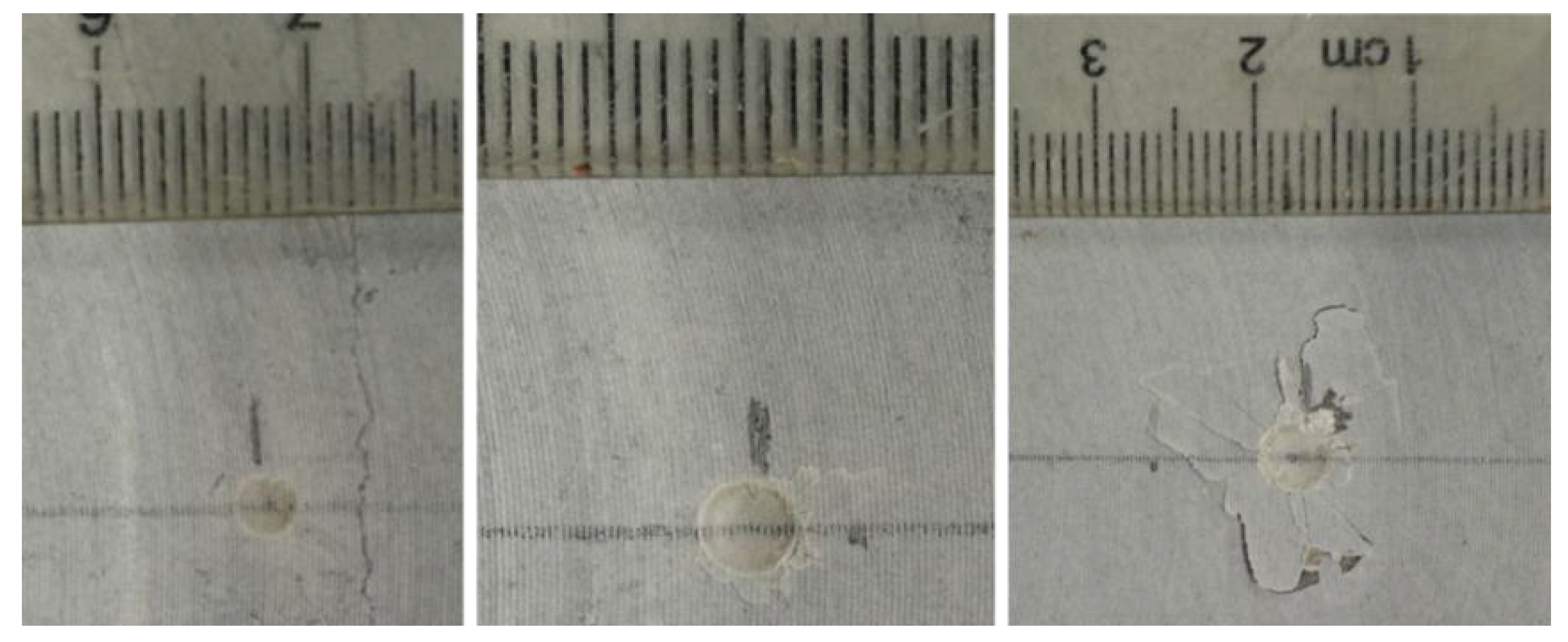 Processes 11 00464 g012 Processes 11 00464 g012