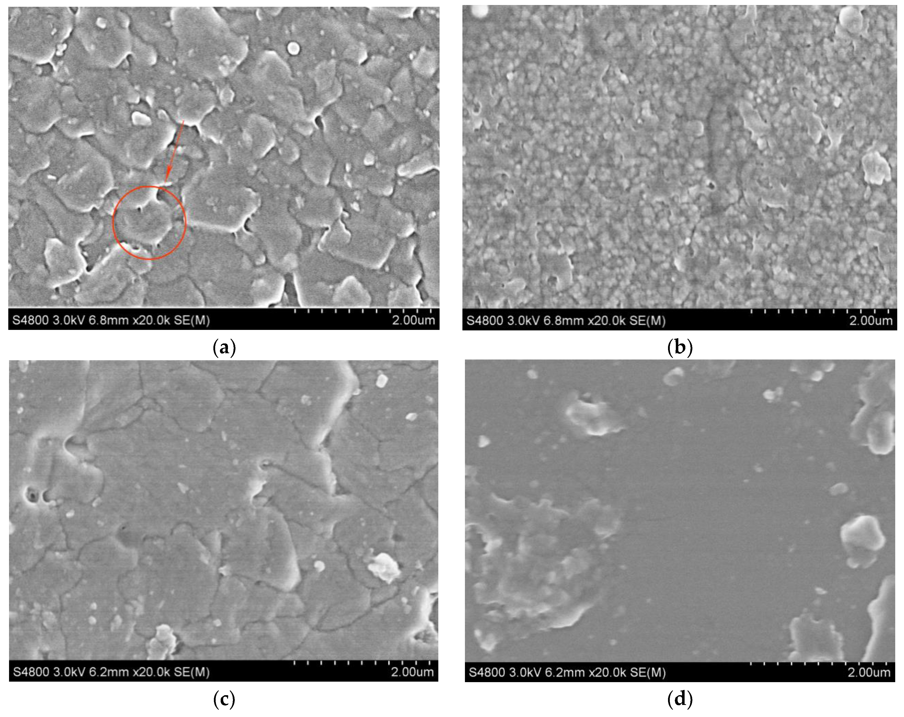 Processes 11 00521 g008