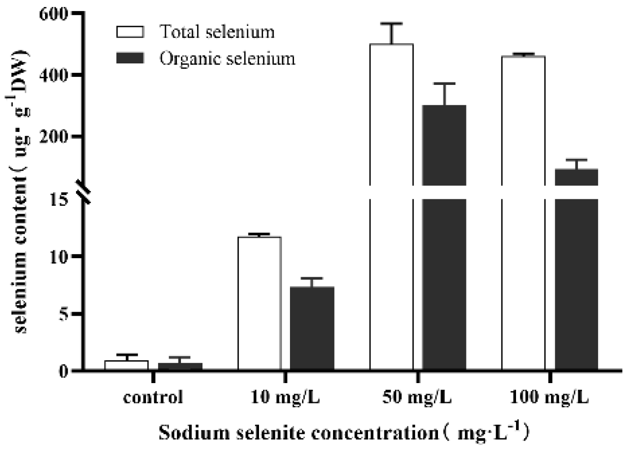 Processes 11 00563 g004