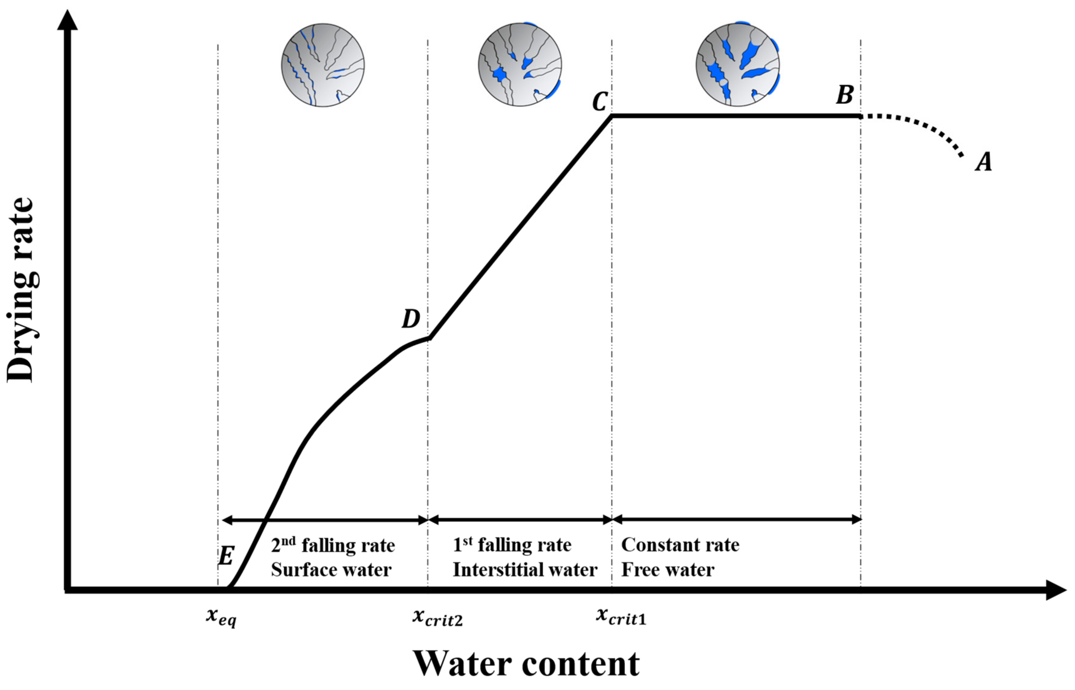 Drying Systems - Drying Curve - Definition