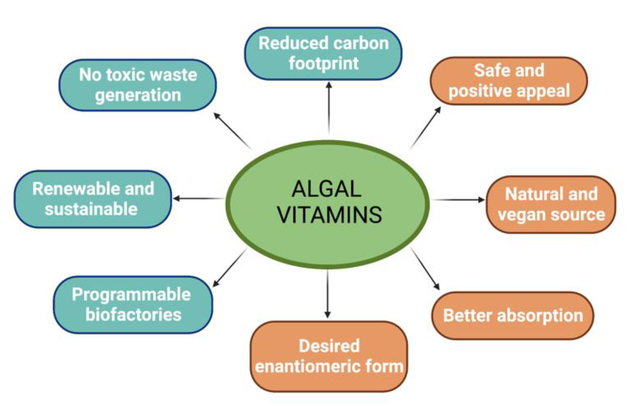 Processes 11 00587 g002