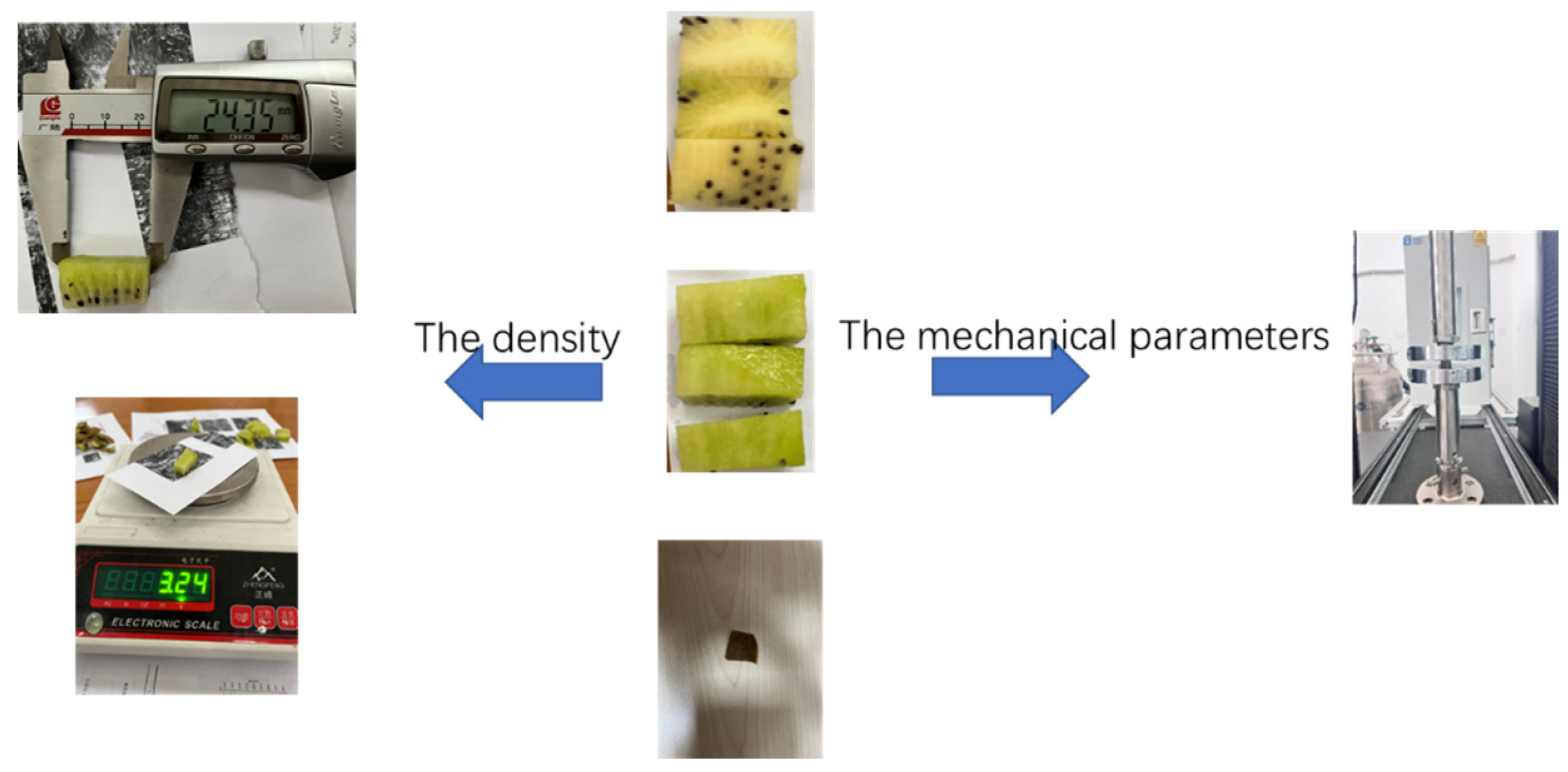 Processes 11 00598 g001