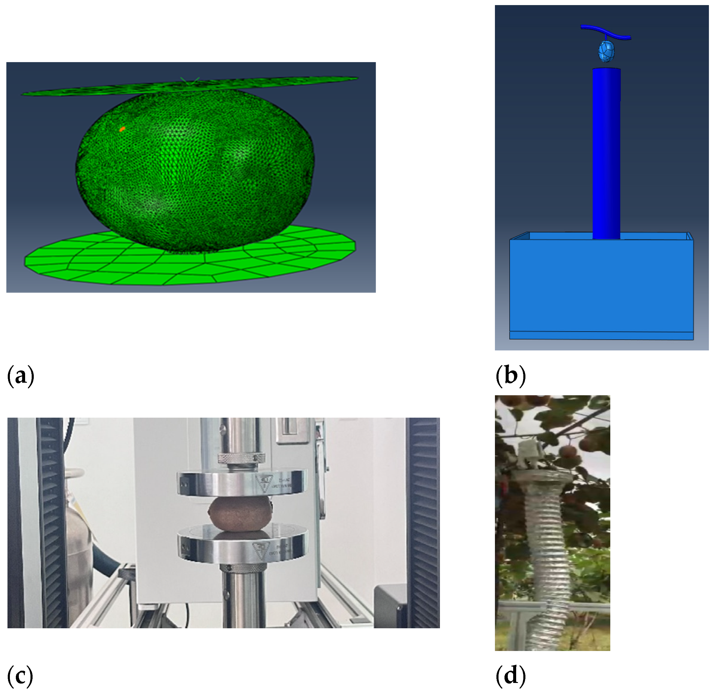 Processes 11 00598 g004