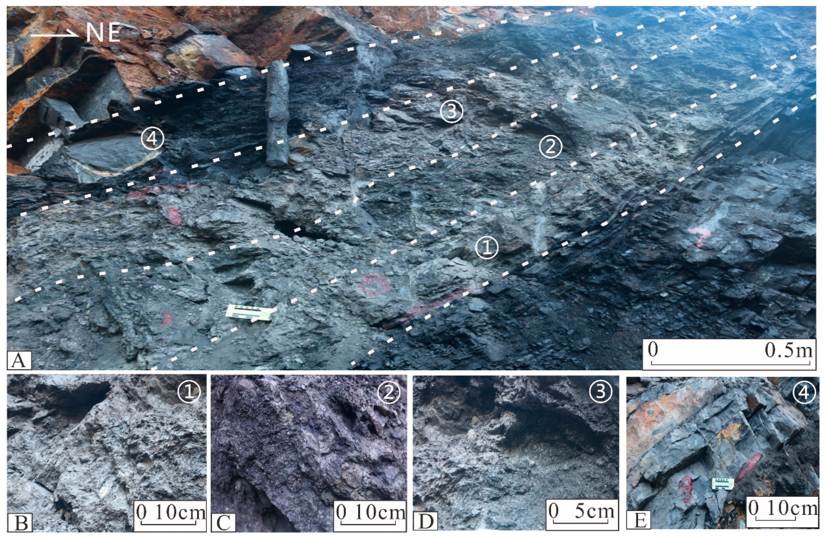 Processes 11 00625 g002 Processes 11 00625 g002