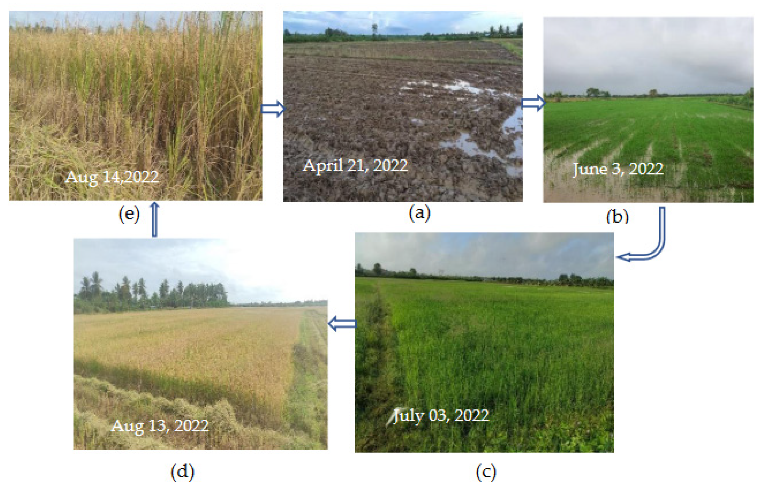 Processes 11 00647 g005 Processes 11 00647 g005