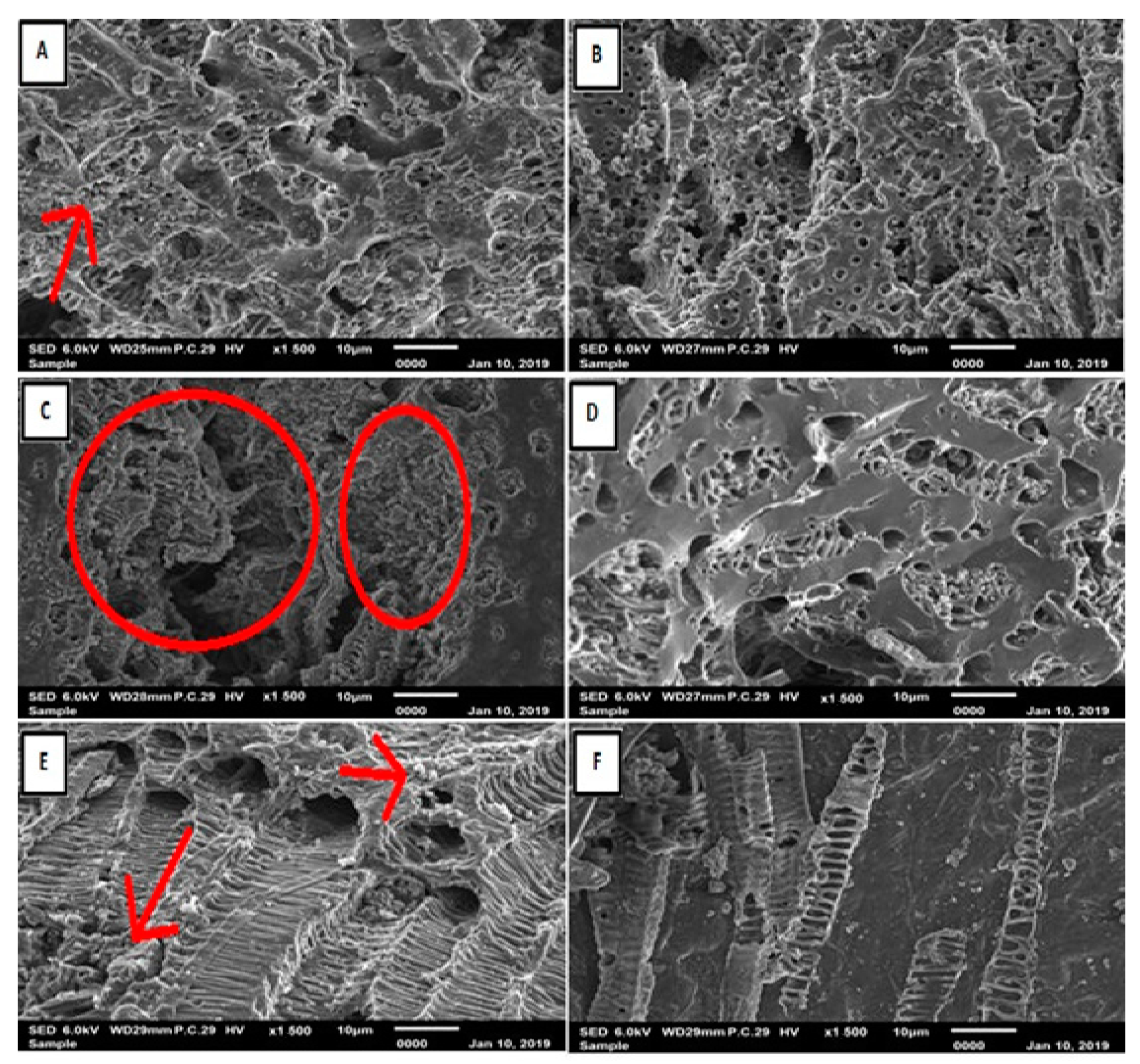 Processes 11 00655 g002 Processes 11 00655 g002
