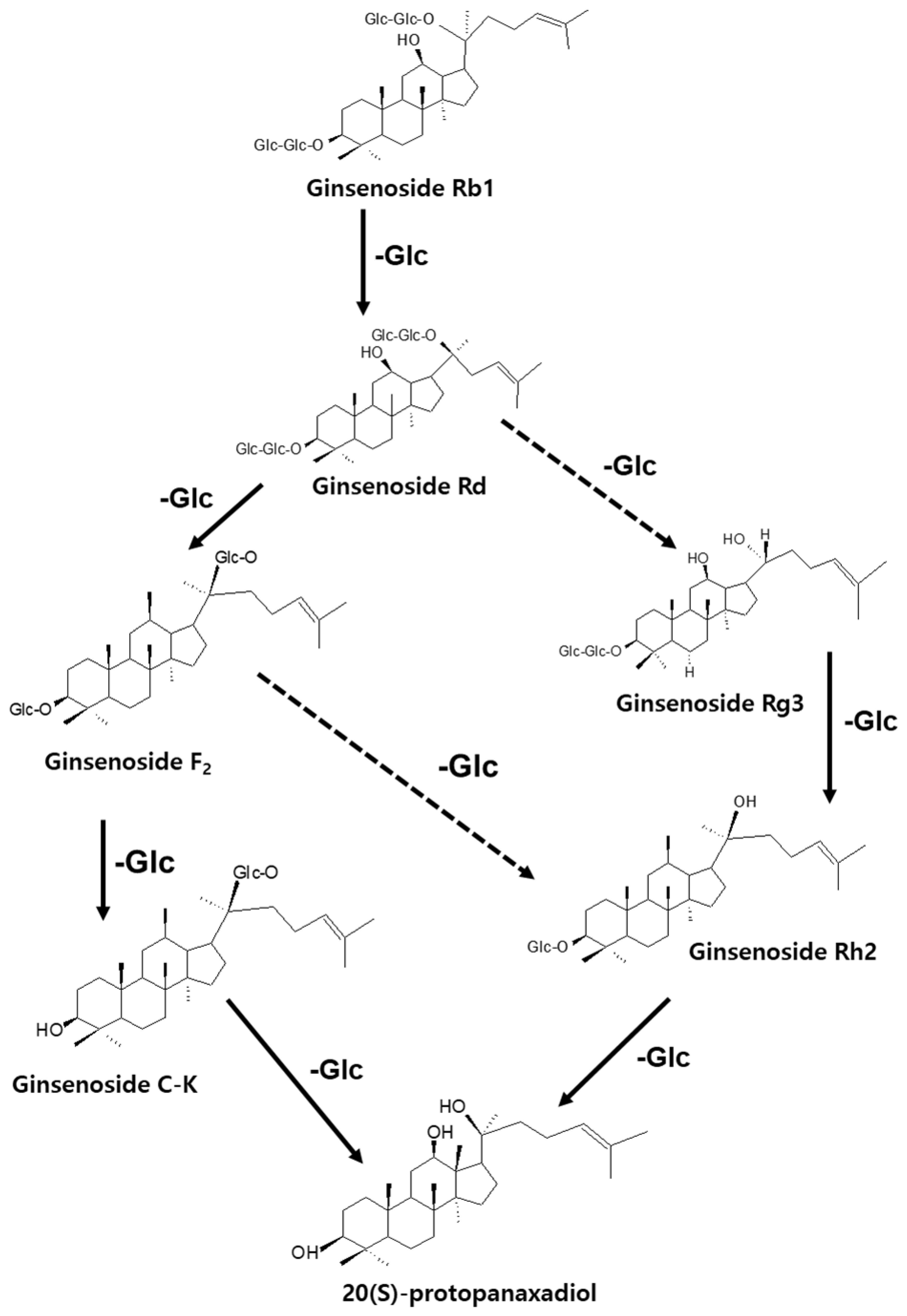 Processes 11 00692 g001